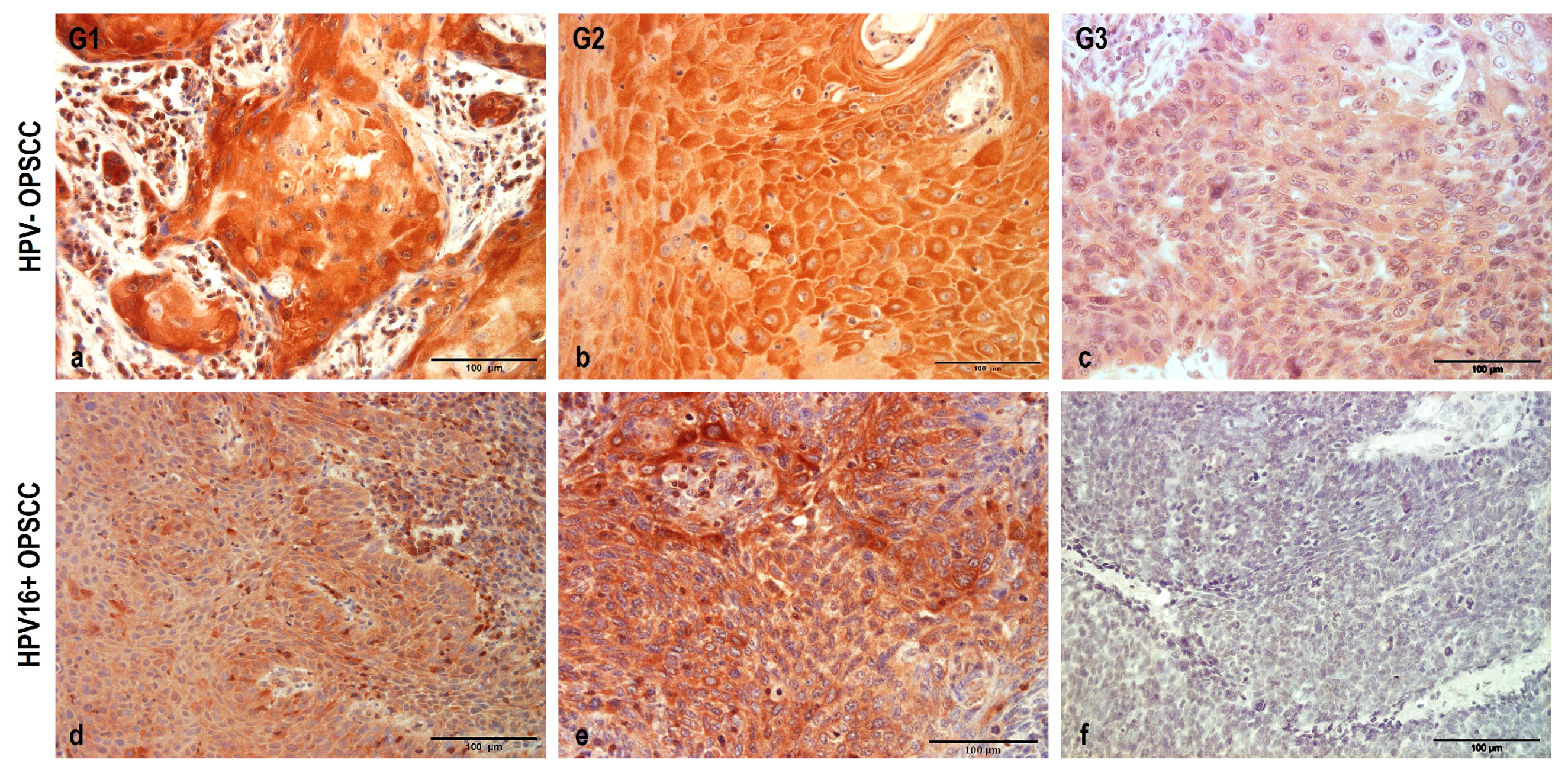 Pathogens 12 01013 g003 Pathogens 12 01013 g003