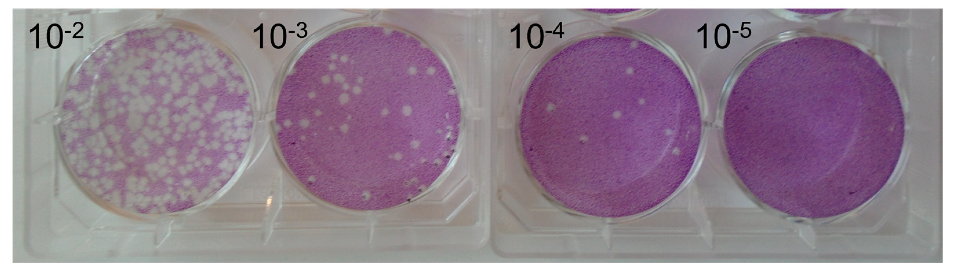 Pathogens 12 01022 g002