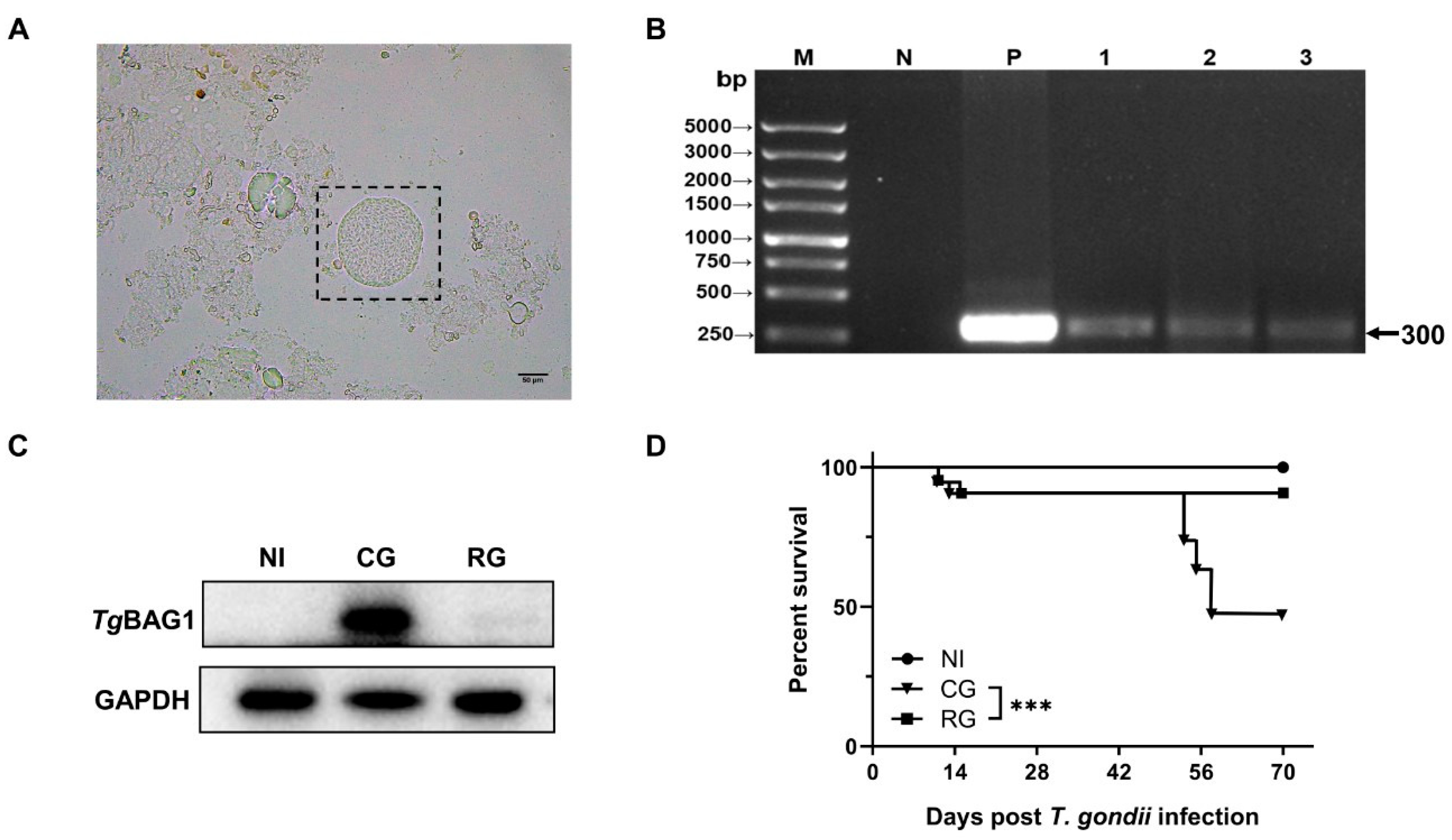 Pathogens 12 01025 g002 Pathogens 12 01025 g002