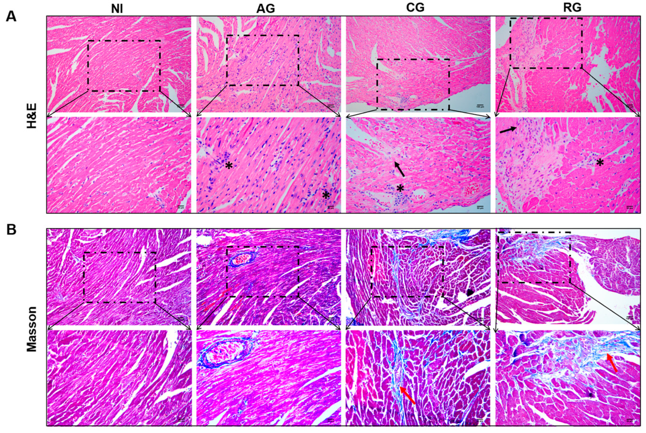 Pathogens 12 01025 g003 Pathogens 12 01025 g003