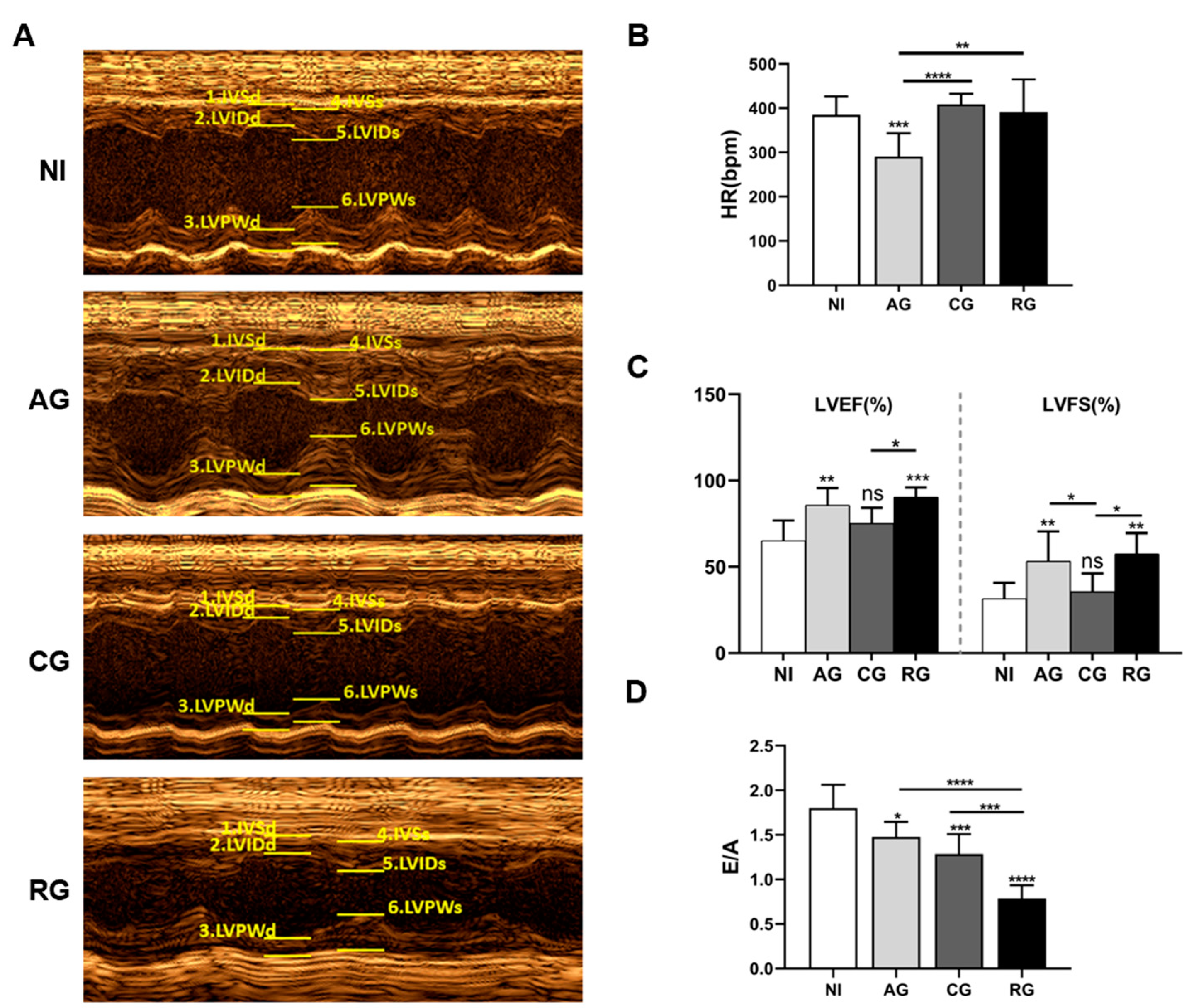 Pathogens 12 01025 g004 Pathogens 12 01025 g004
