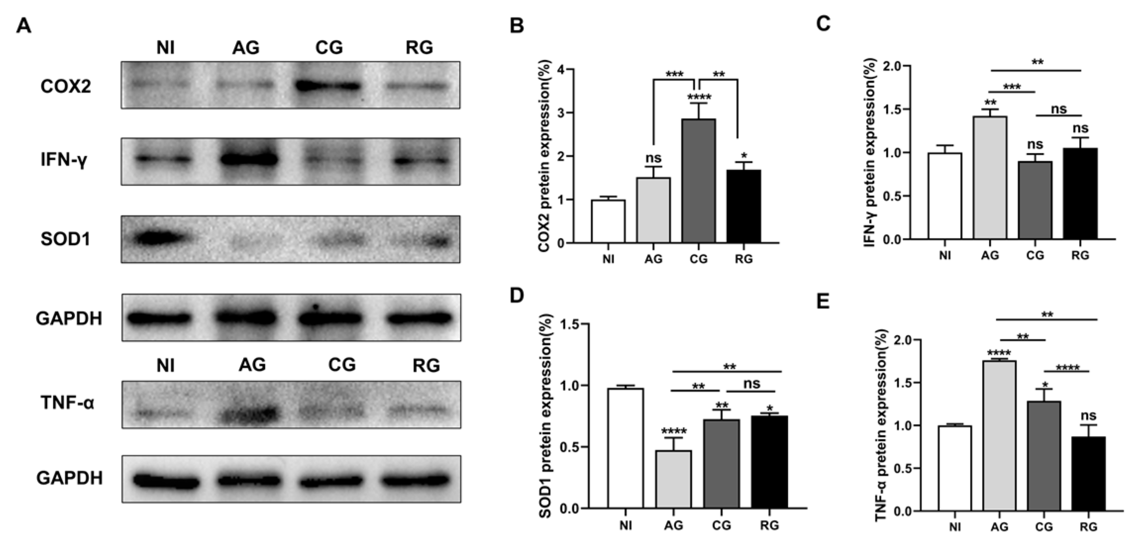 Pathogens 12 01025 g006 Pathogens 12 01025 g006