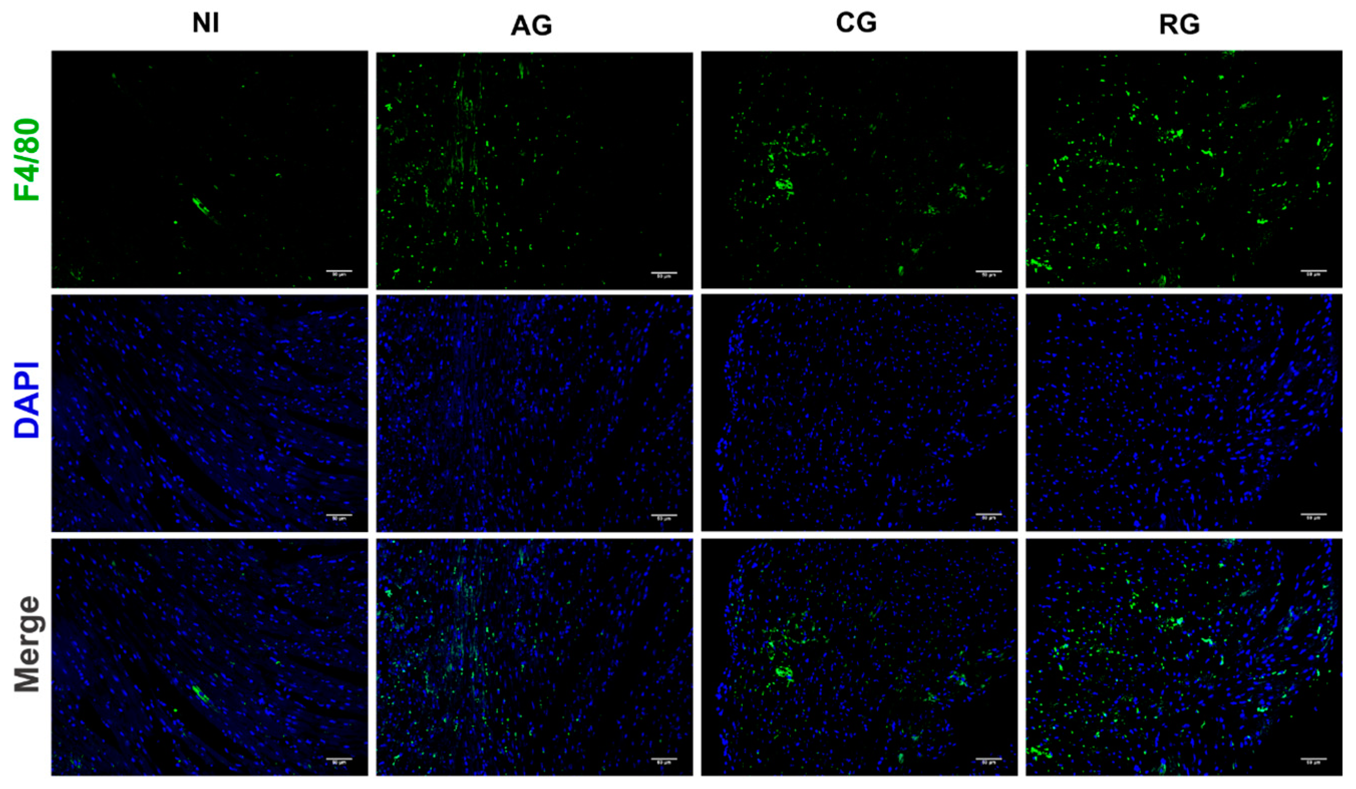 Pathogens 12 01025 g007 Pathogens 12 01025 g007