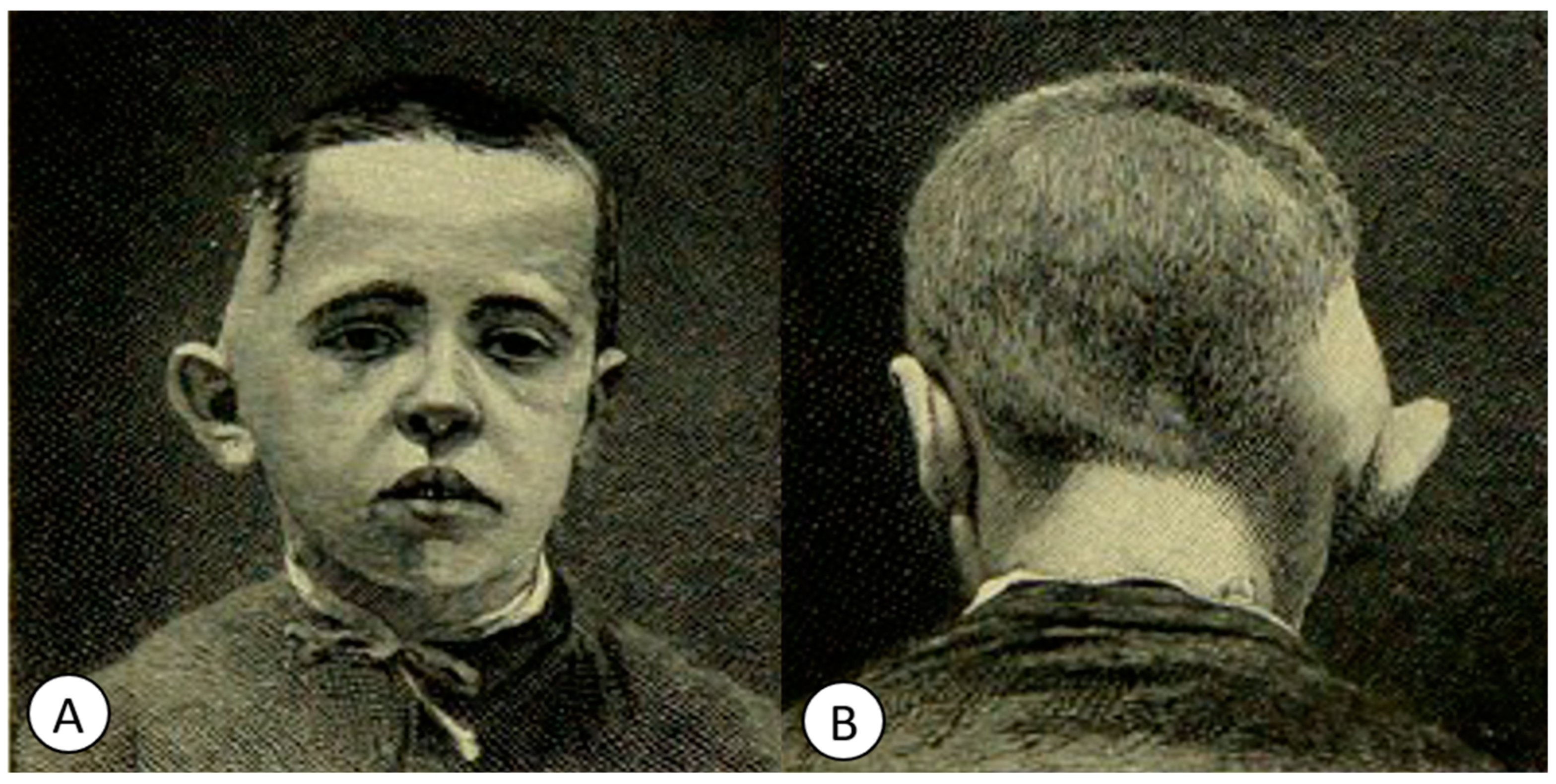 Pathogens 12 01026 g008 Pathogens 12 01026 g008