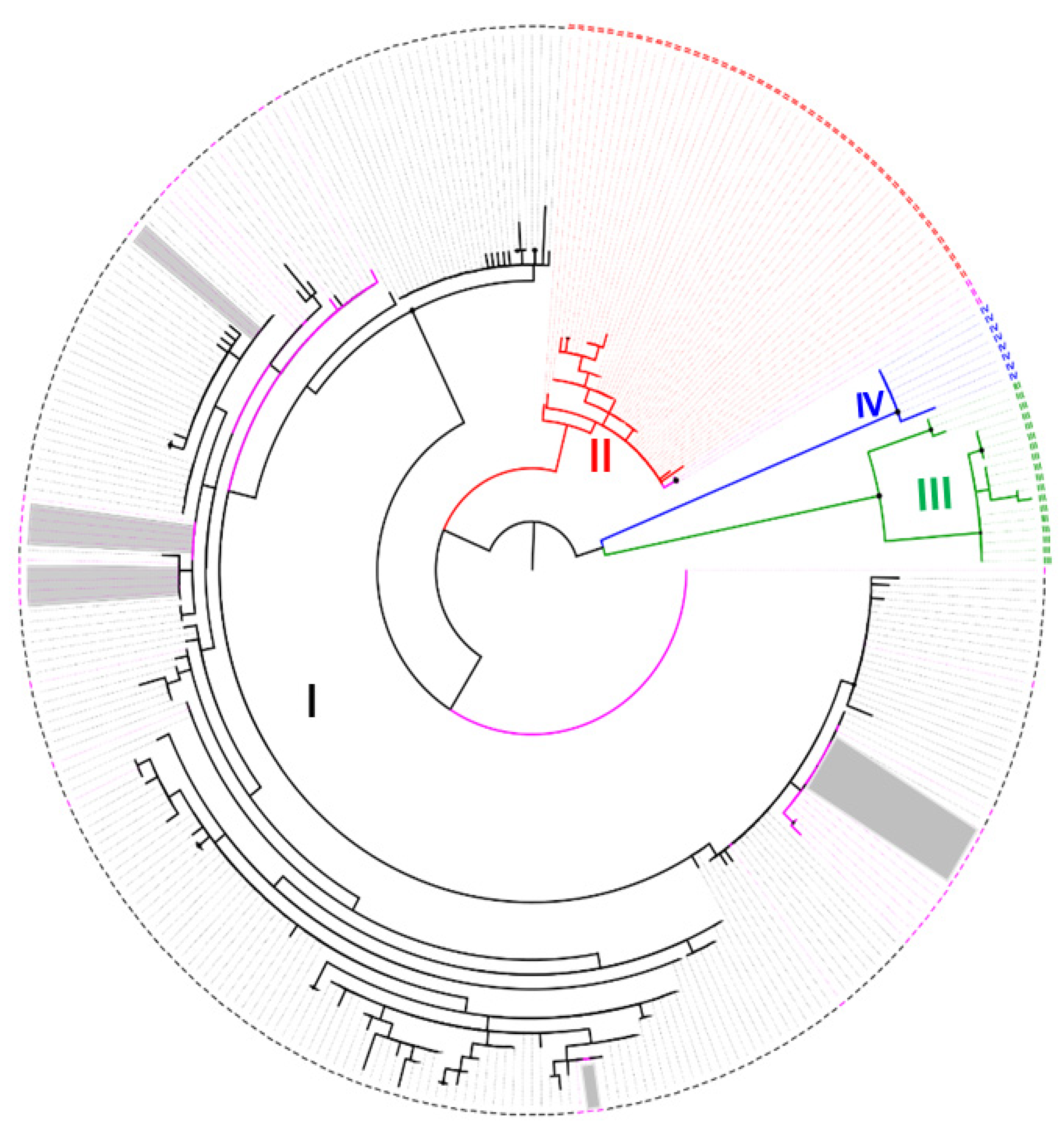 Pathogens 12 01029 g001 Pathogens 12 01029 g001