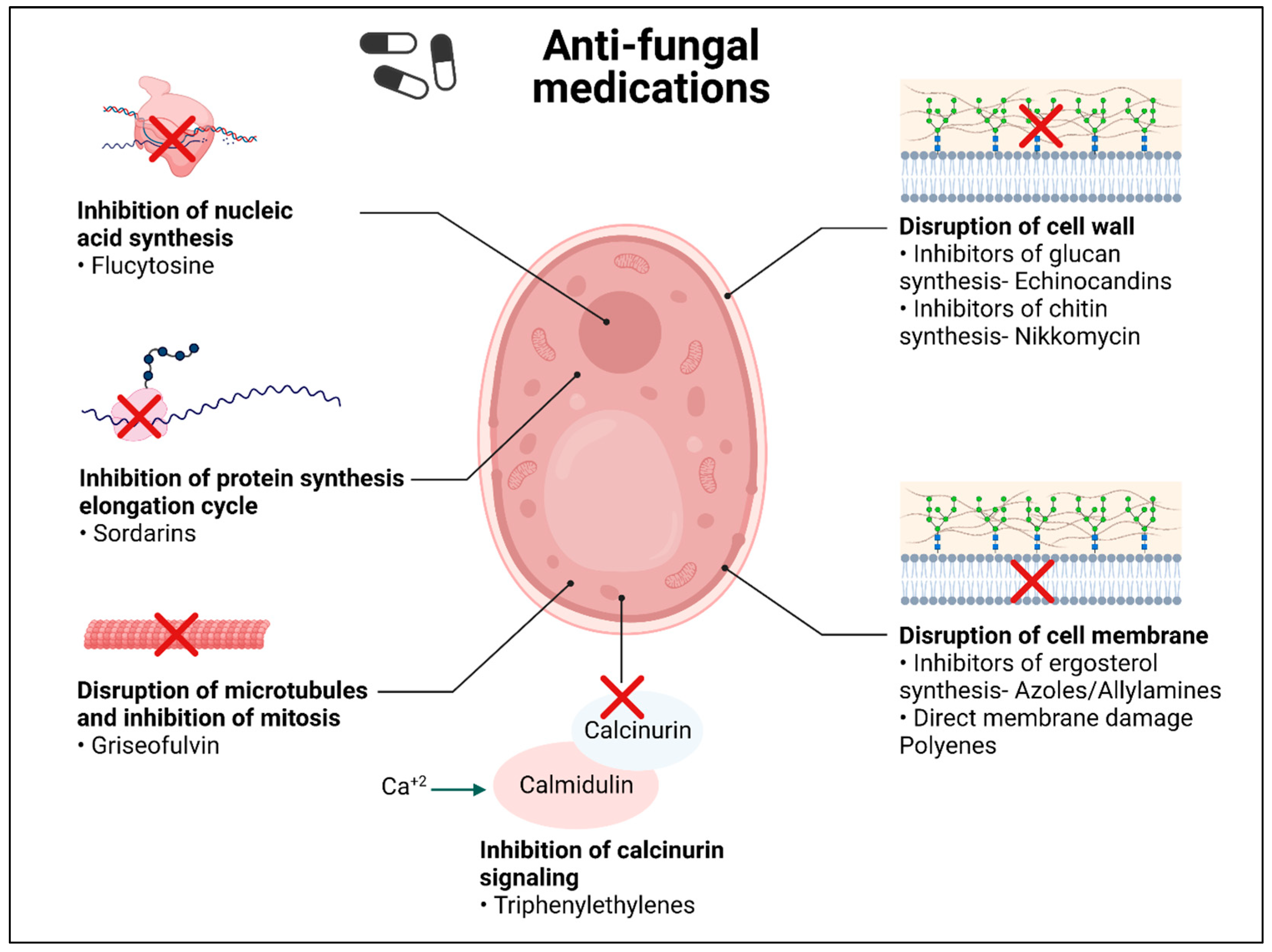 Pathogens 12 01033 g001 Pathogens 12 01033 g001