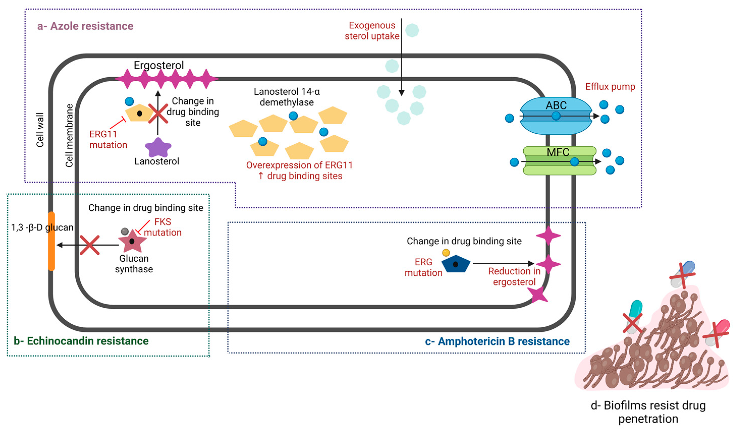 Pathogens 12 01033 g002 Pathogens 12 01033 g002