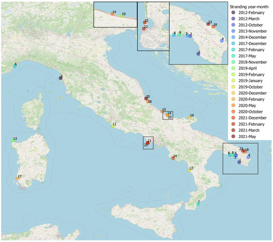 Nautical Disputes at Sea Codes Wiki (December 2023)