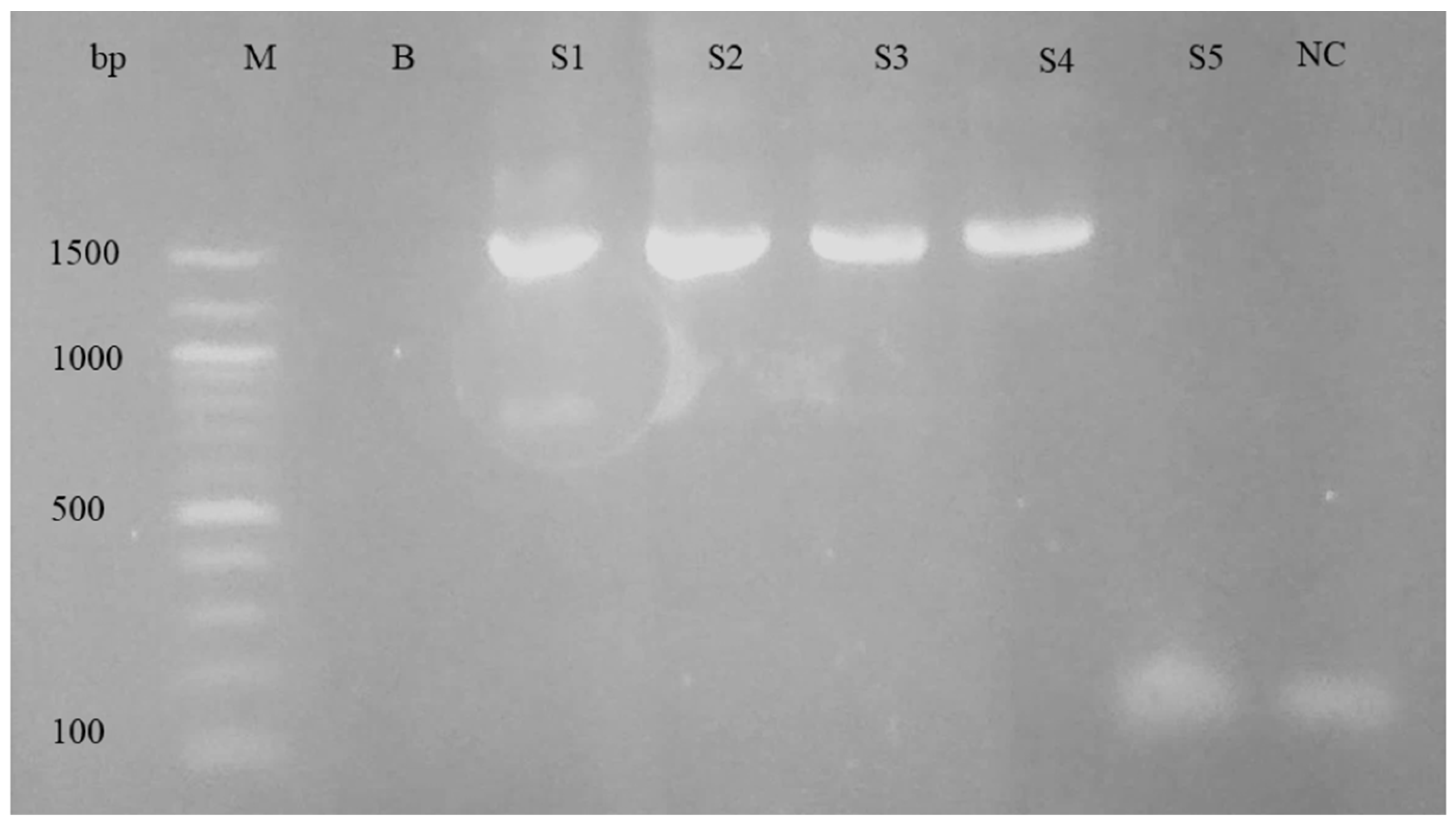 Pathogens 12 01045 g003 Pathogens 12 01045 g003