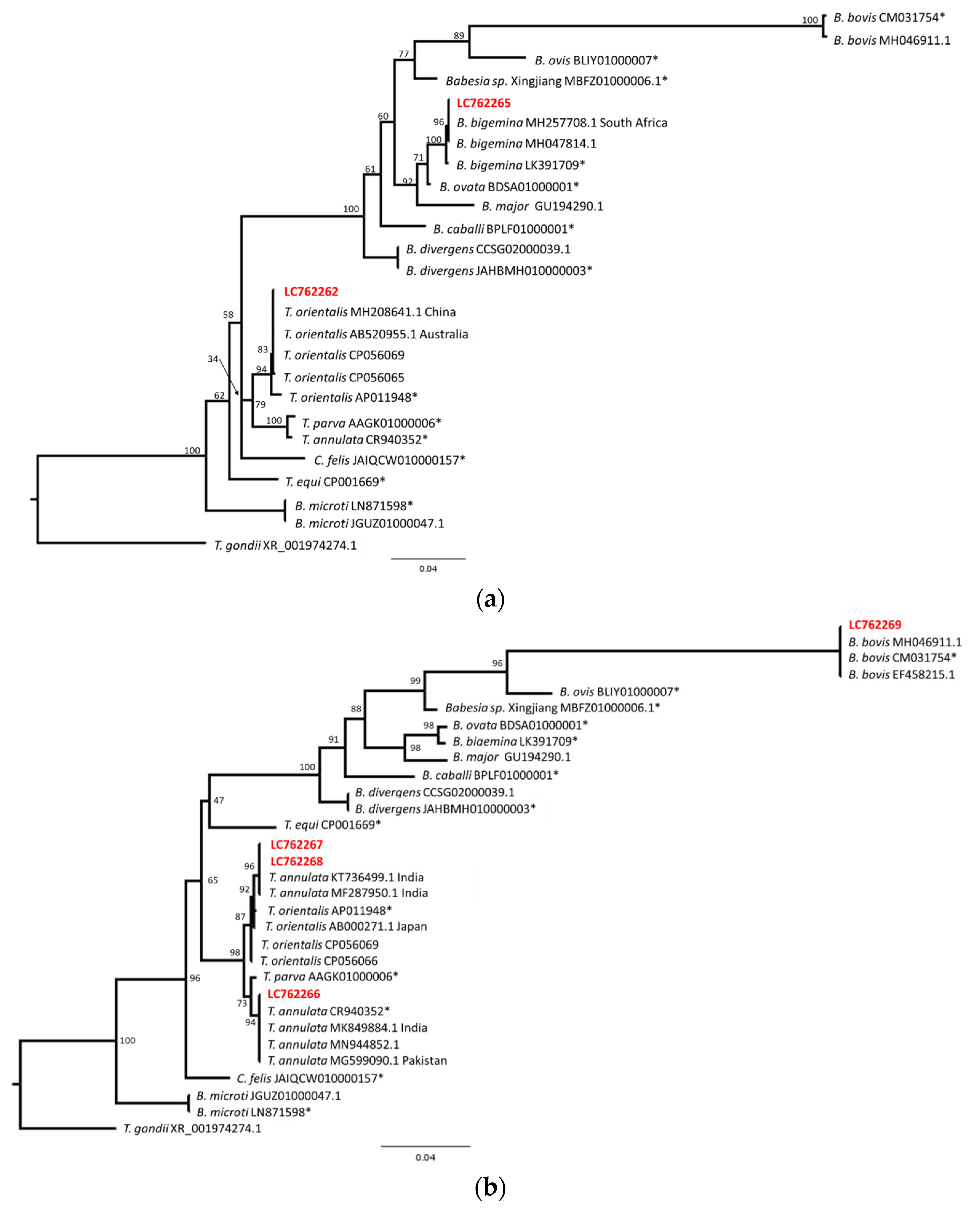 Pathogens 12 01045 g004 Pathogens 12 01045 g004