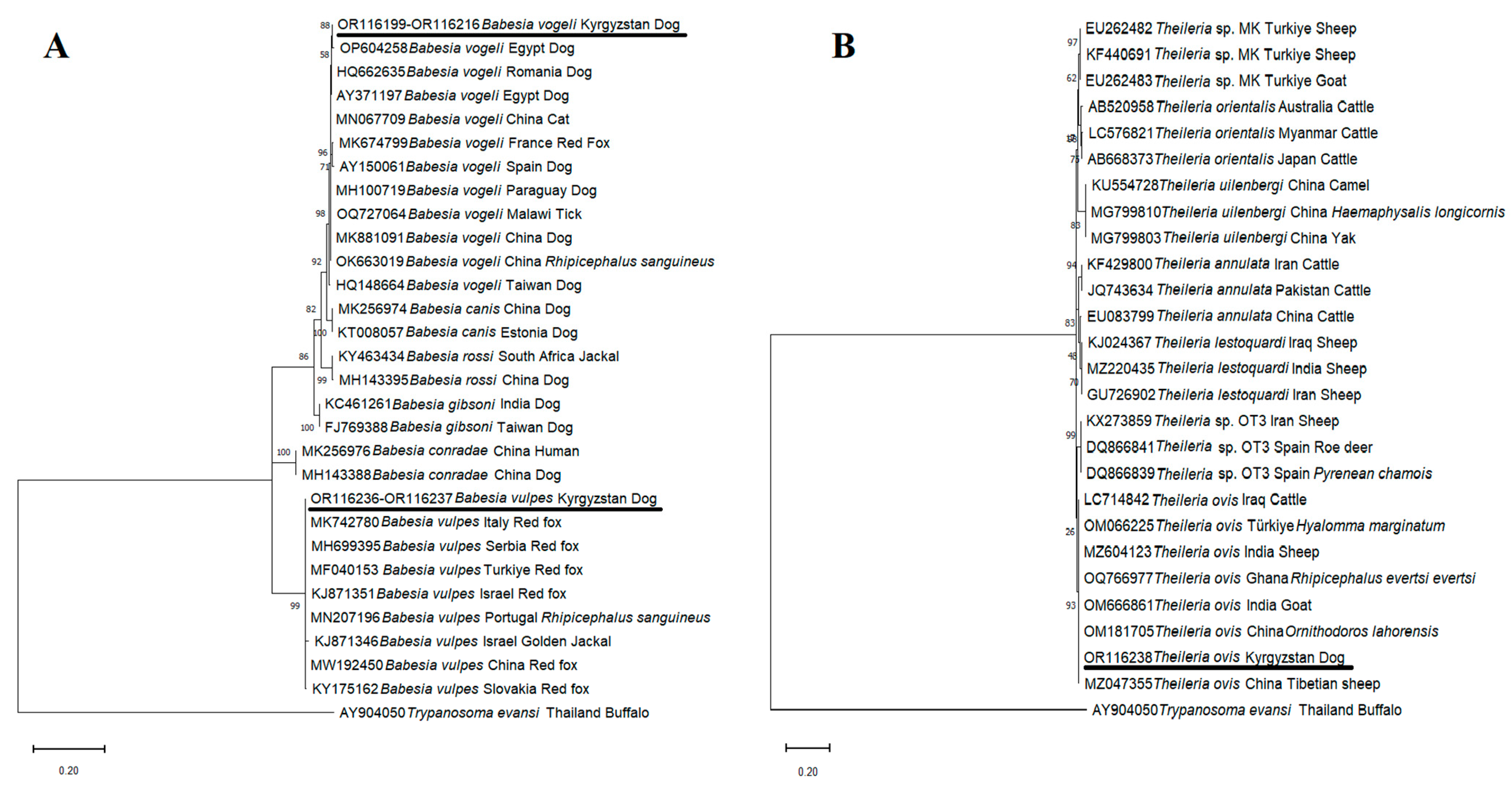 Pathogens 12 01046 g003
