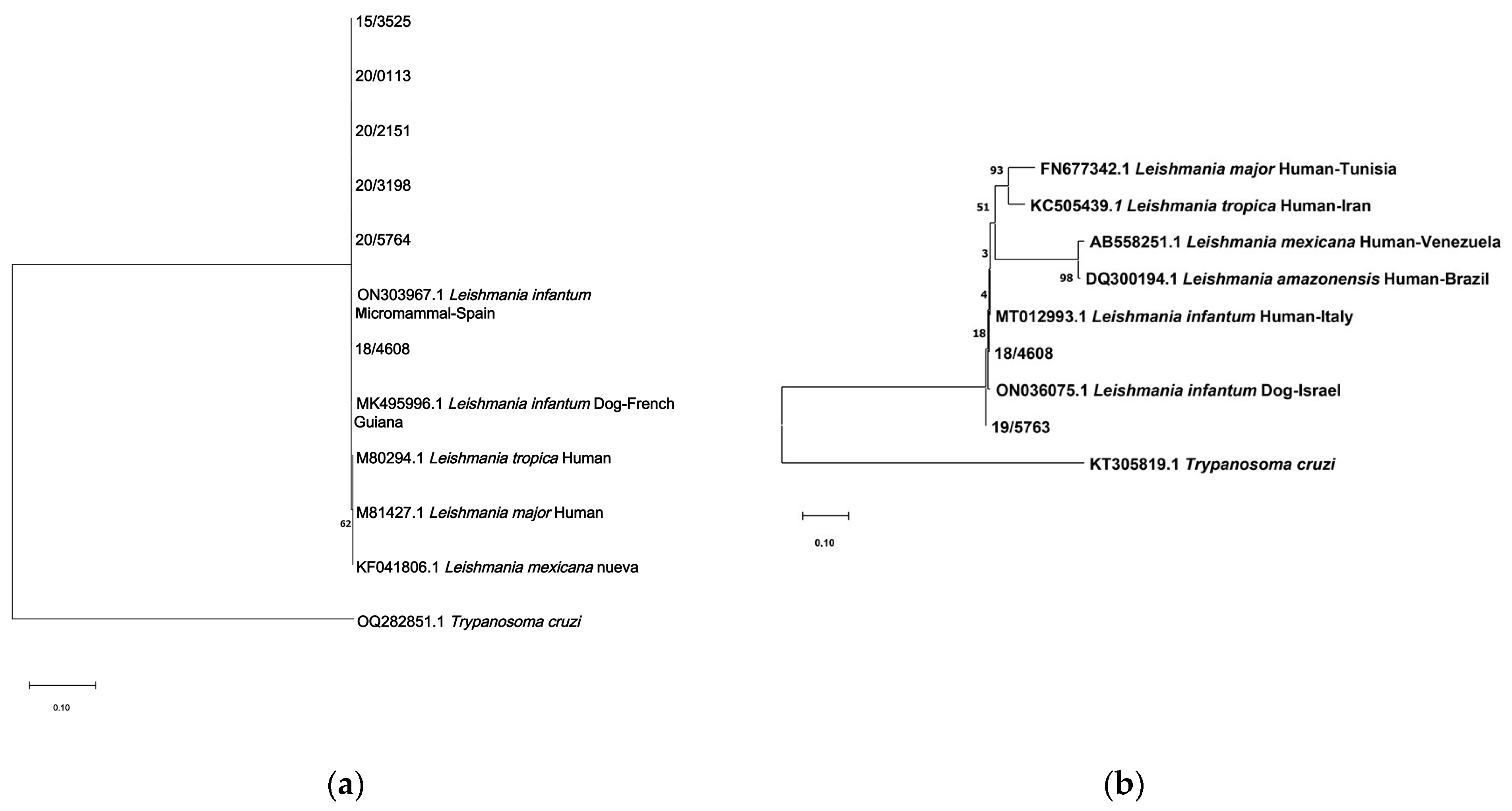 Pathogens 12 01048 g002