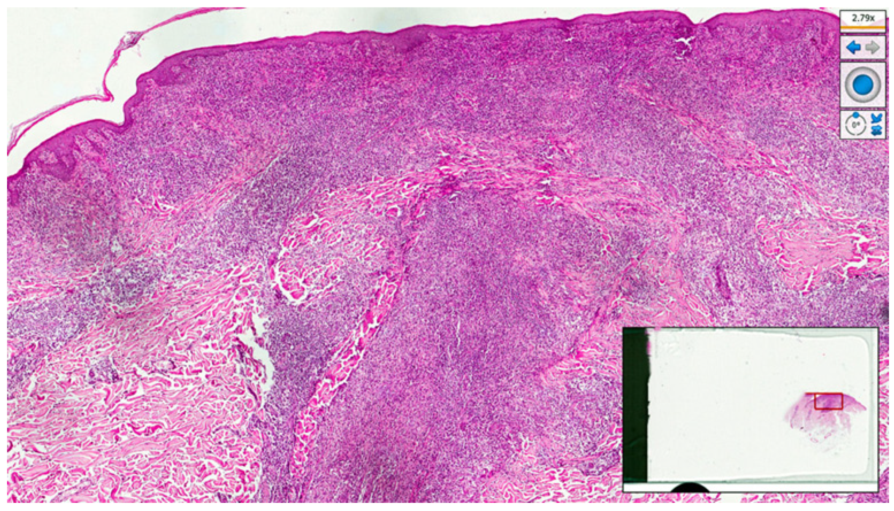 Pathogens 12 01054 g005