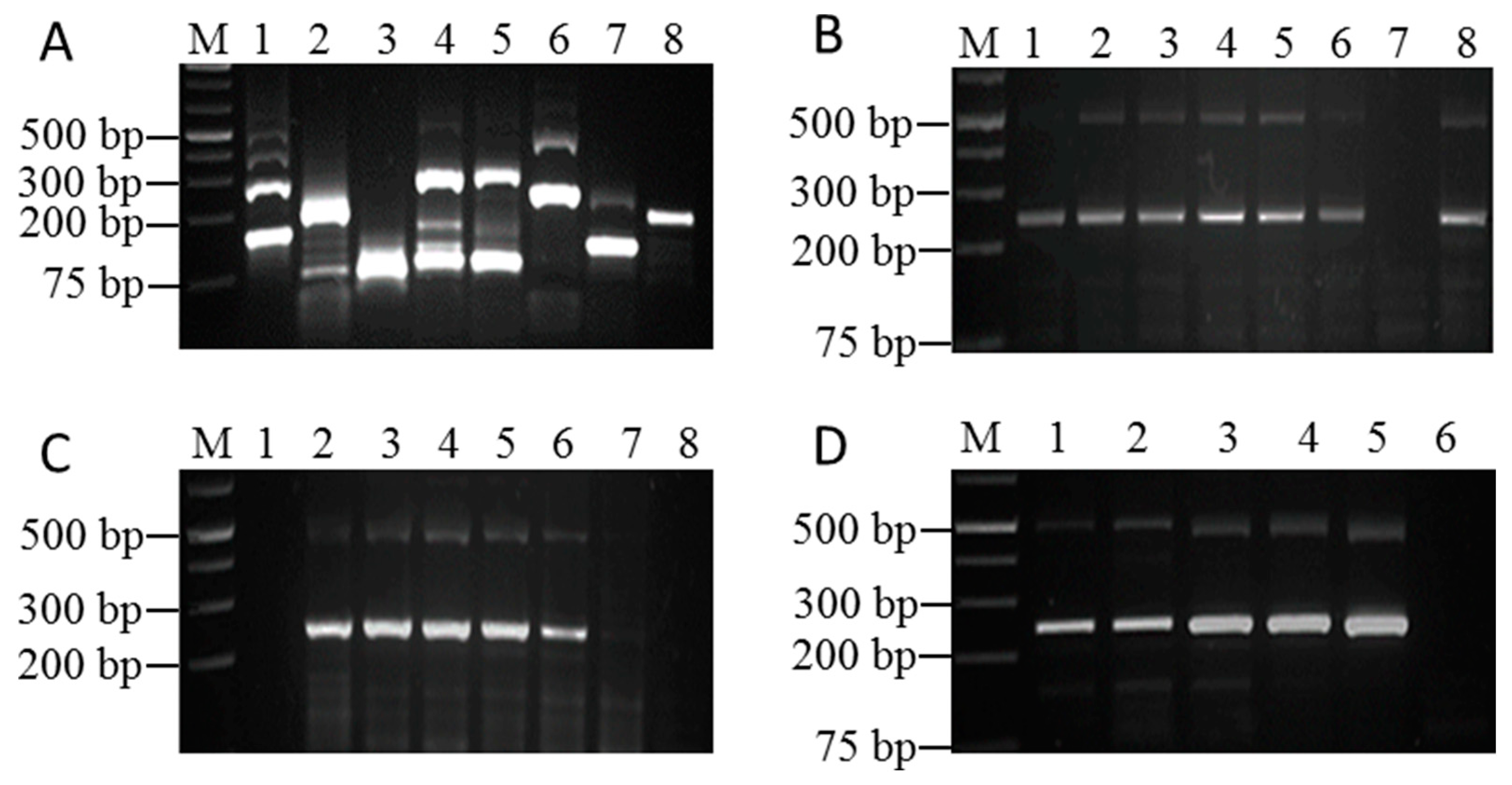 Pathogens 12 01055 g001
