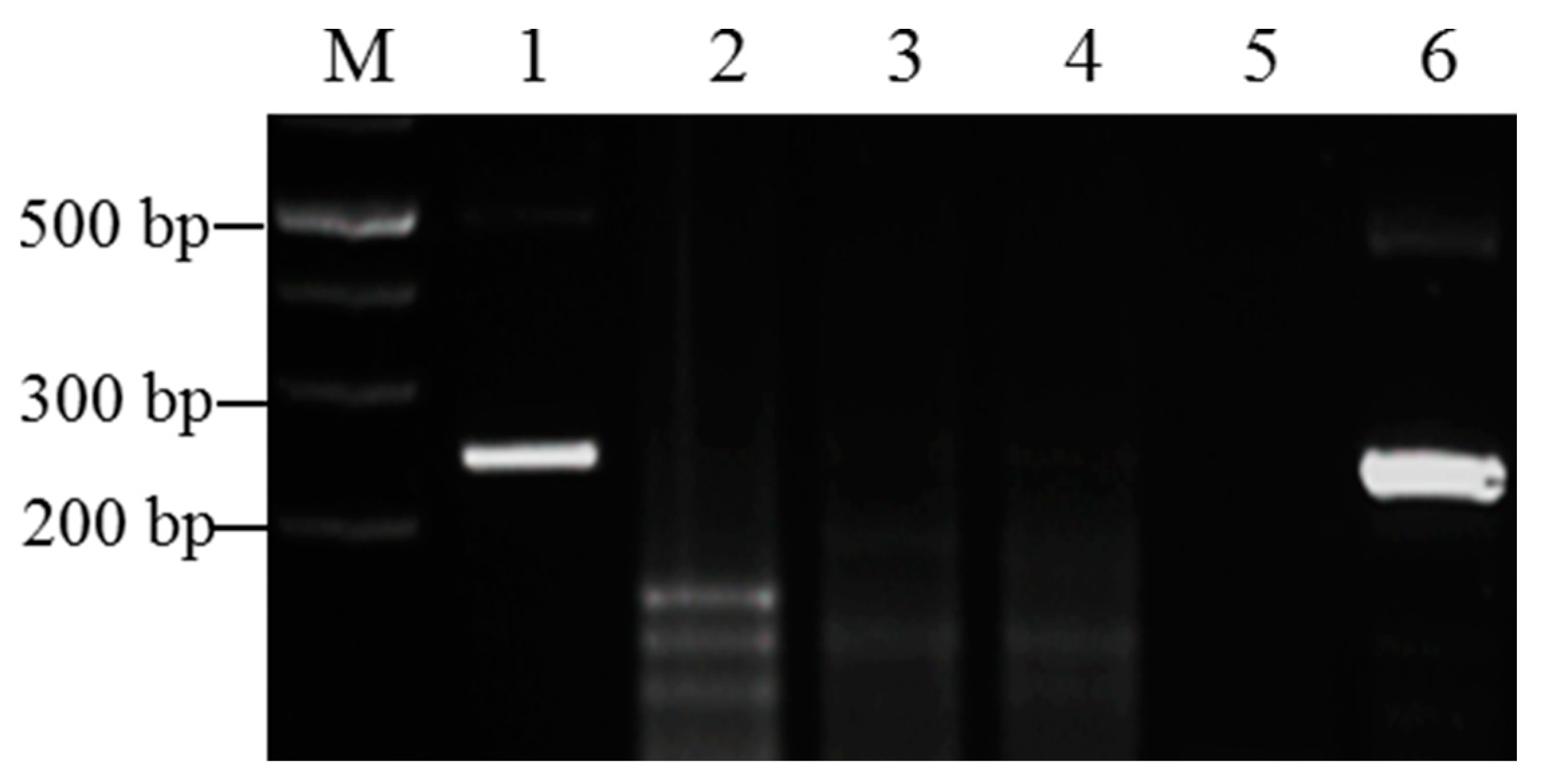 Pathogens 12 01055 g002