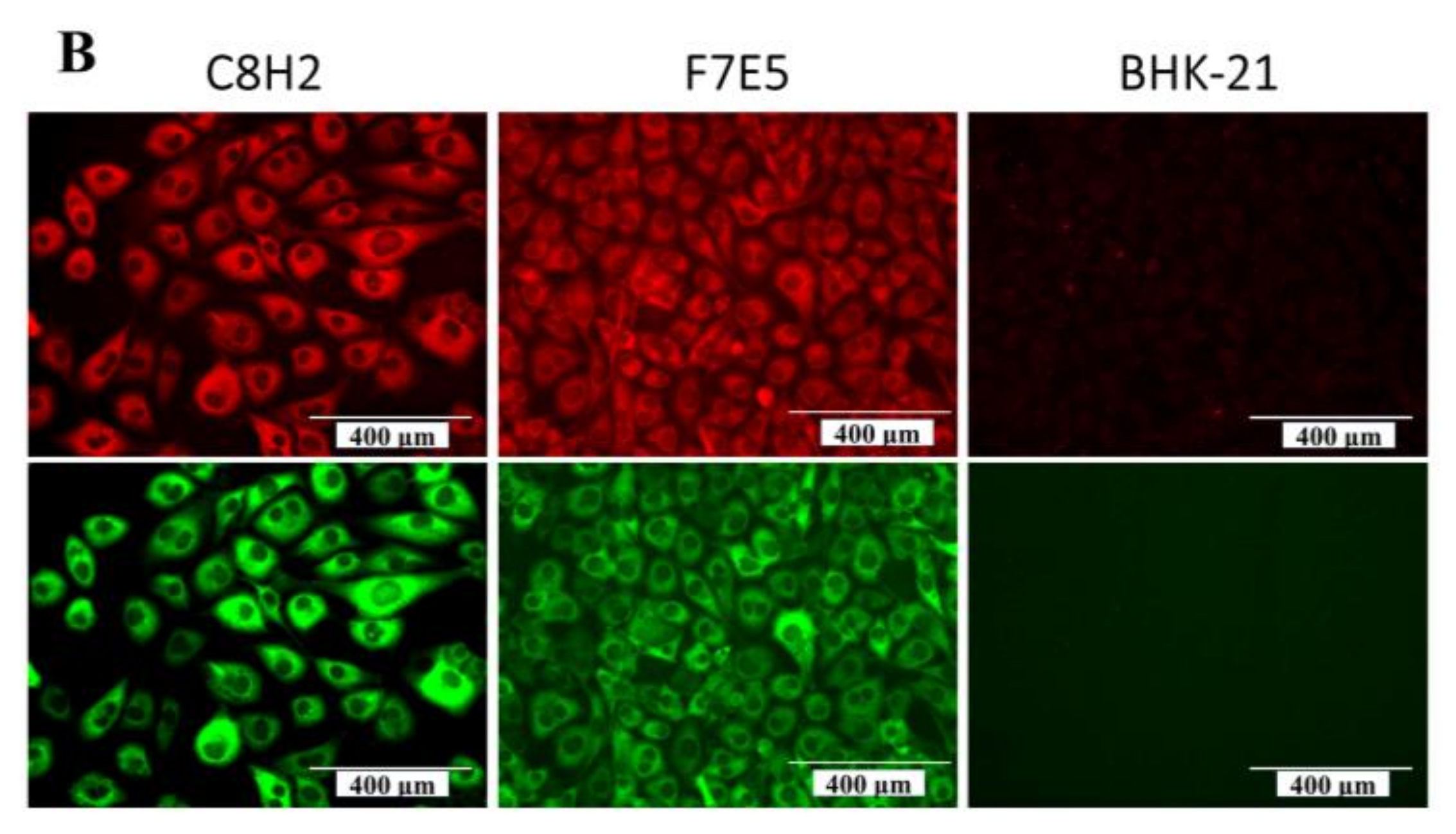 Pathogens 12 01058 g004b