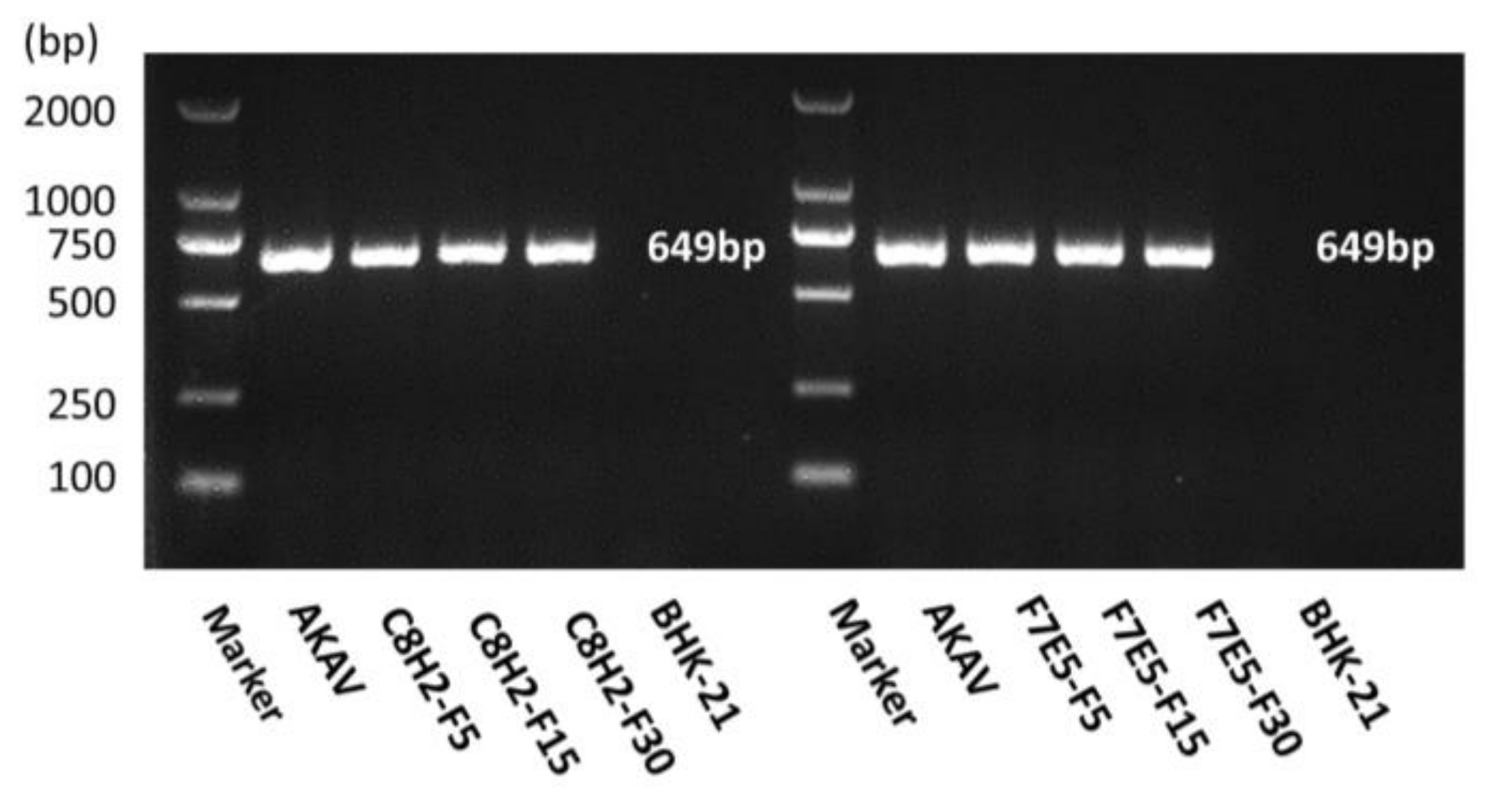 Pathogens 12 01058 g005