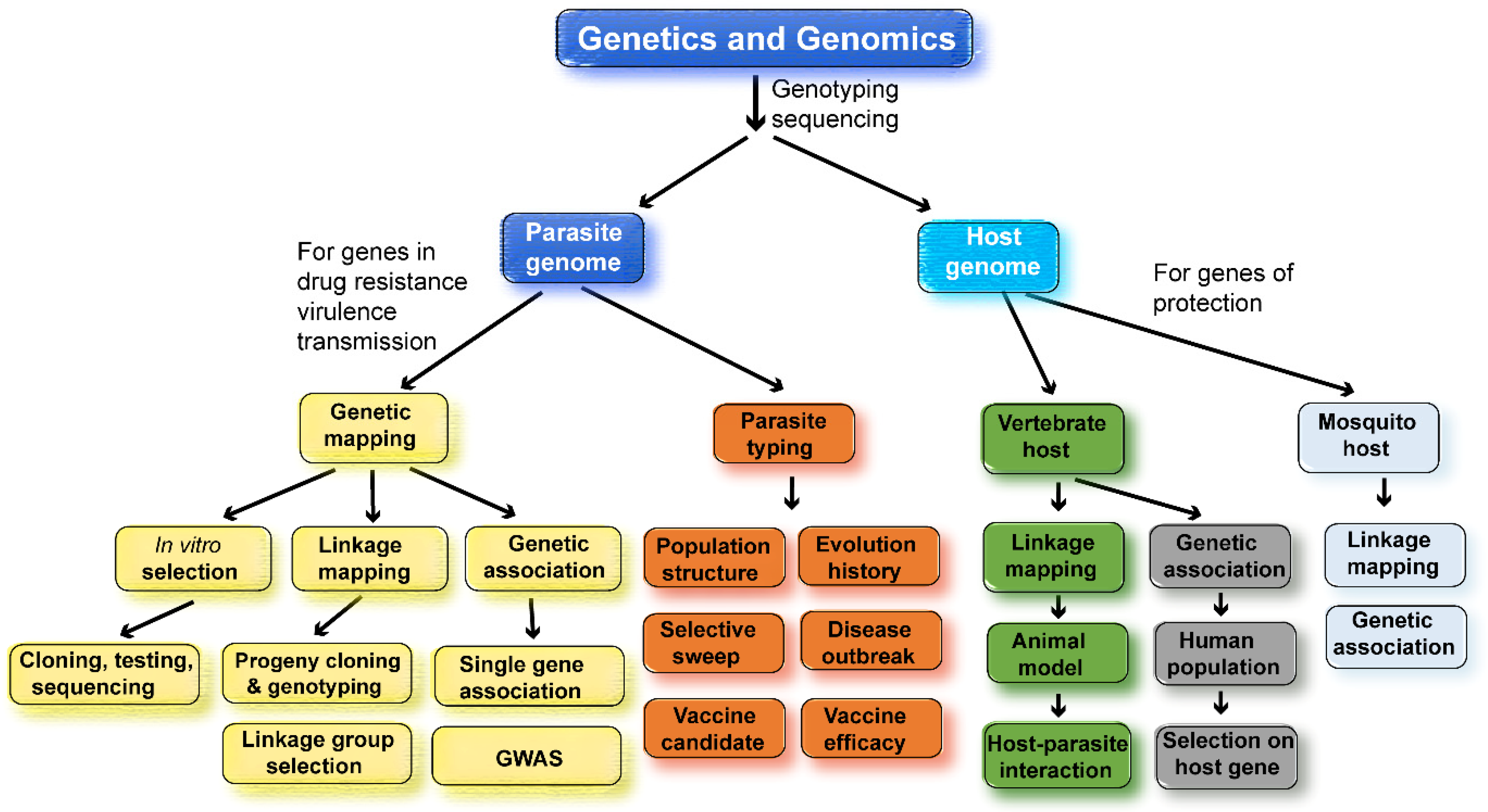 Pathogens 12 01061 g002 Pathogens 12 01061 g002