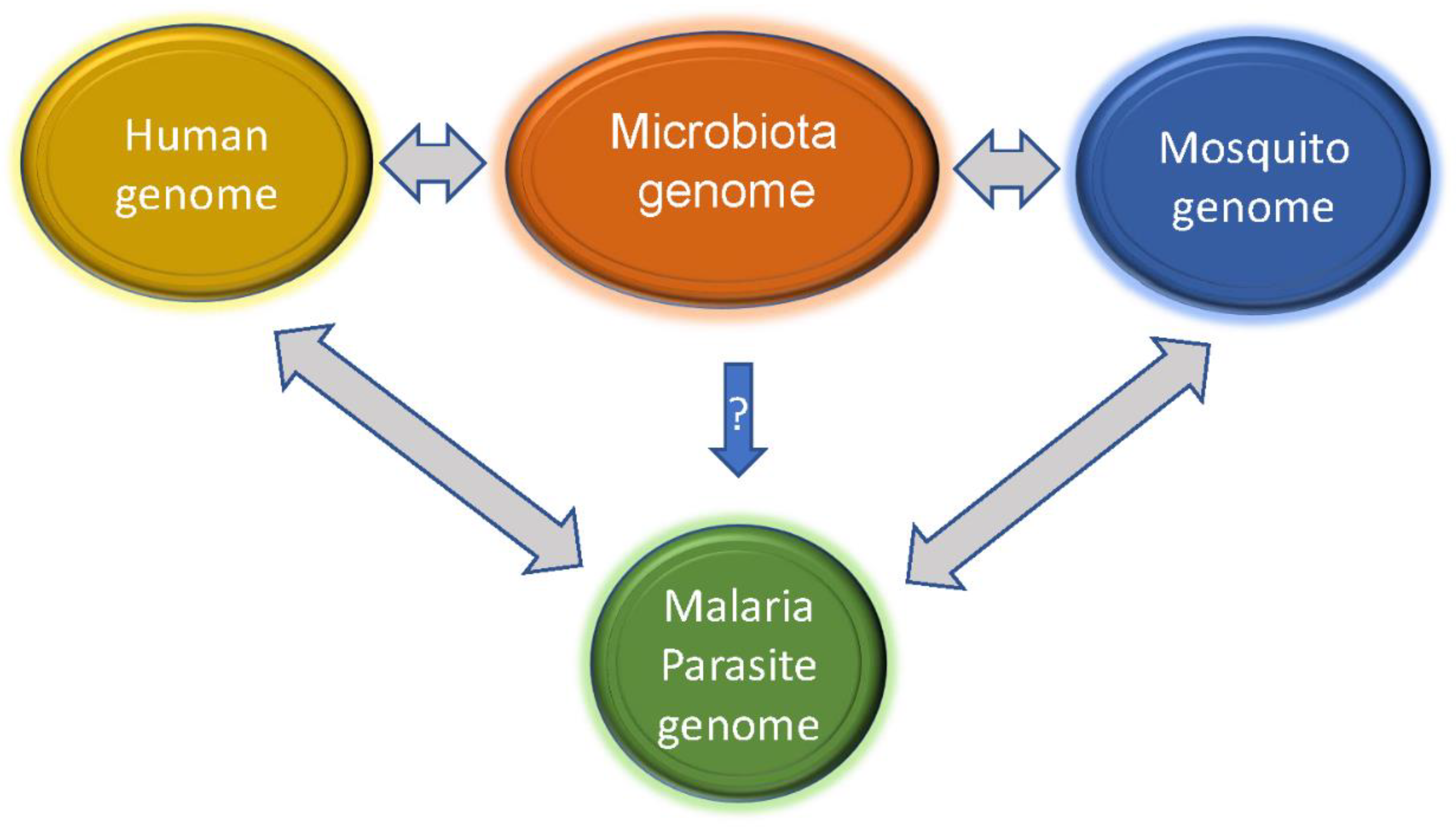 Pathogens 12 01061 g004 Pathogens 12 01061 g004