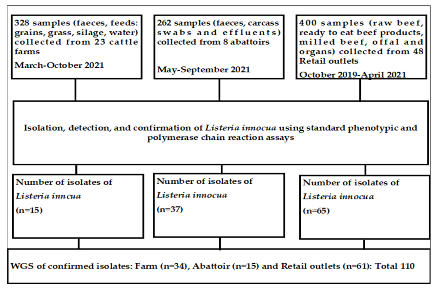 Pathogens 12 01062 g001