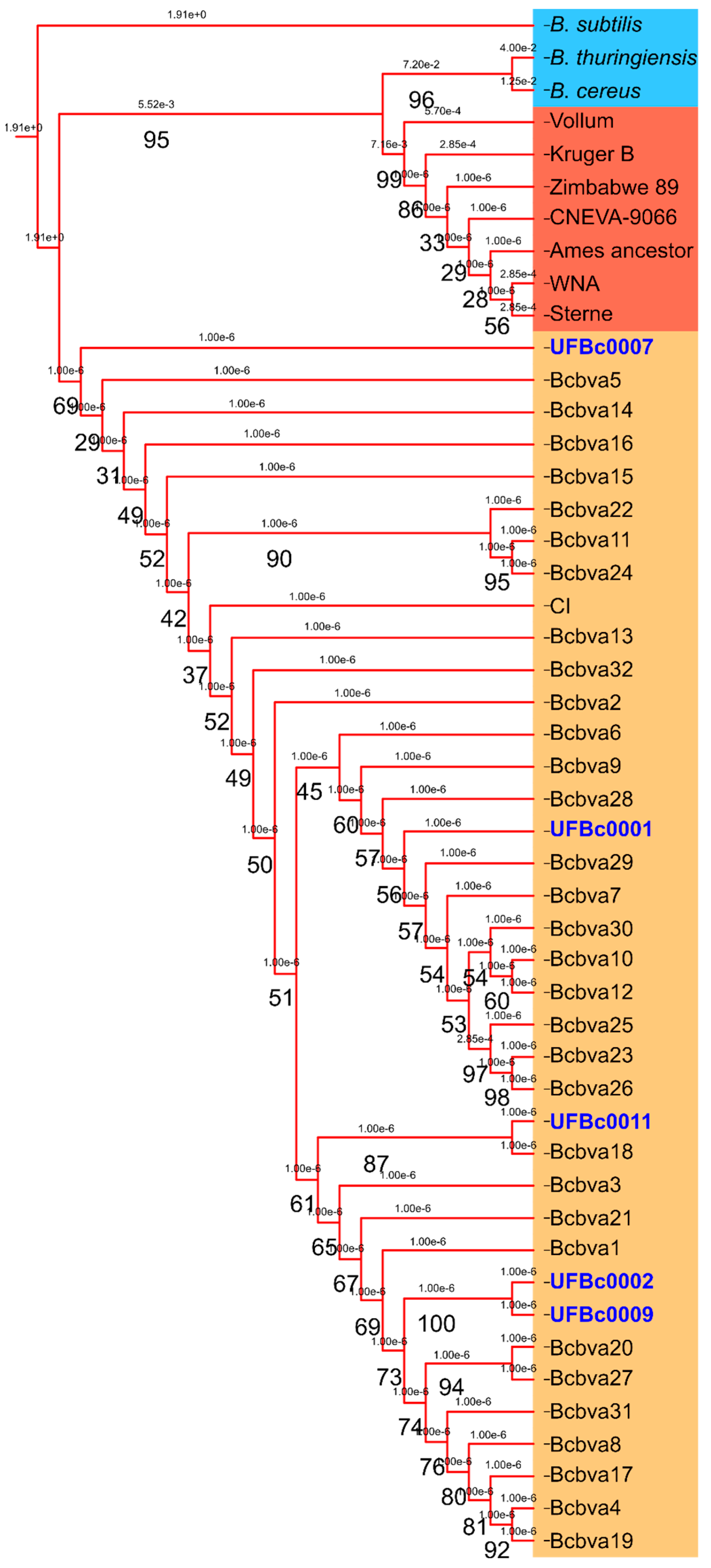 Pathogens 12 01065 g003