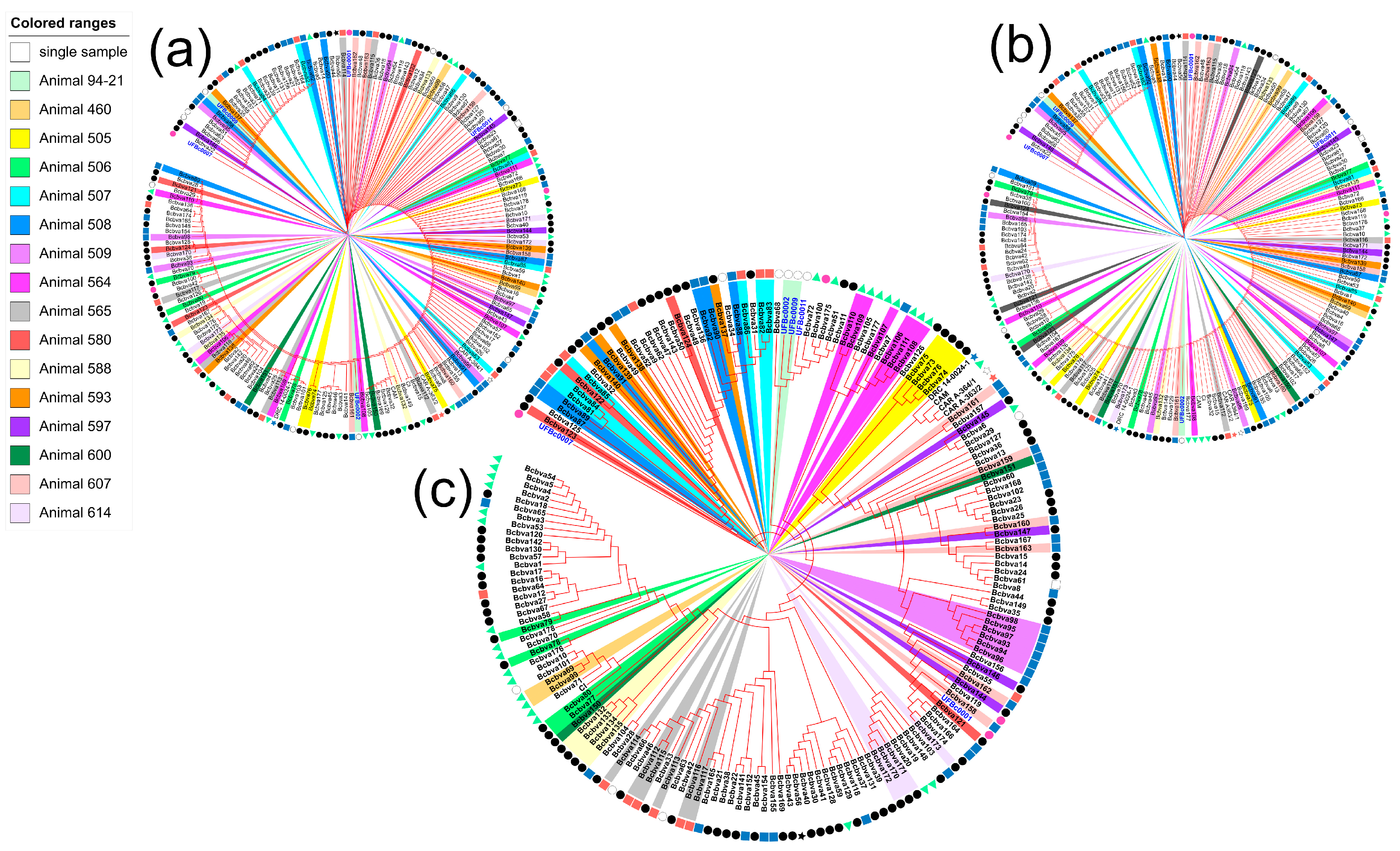 Pathogens 12 01065 g005
