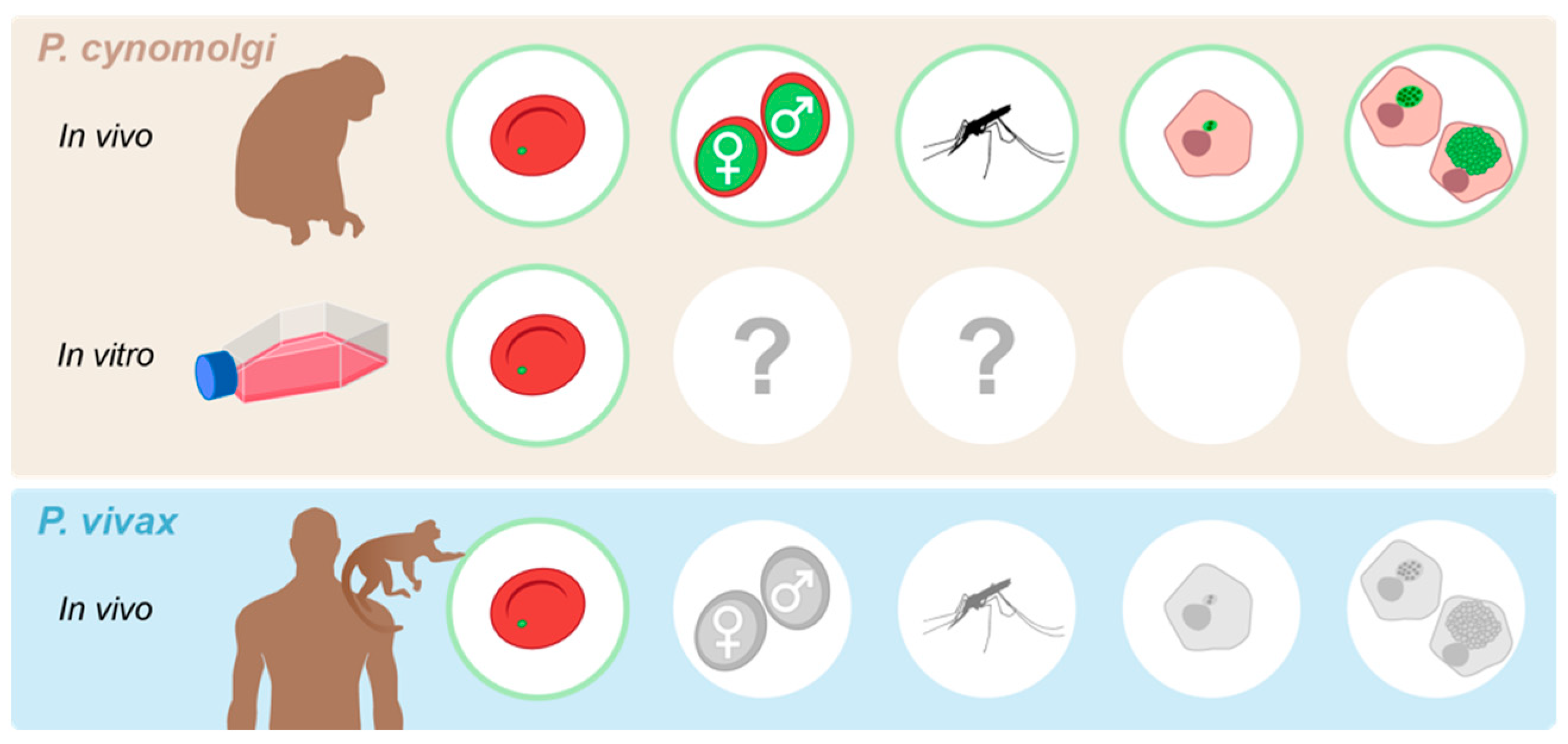 Pathogens 12 01070 g002 Pathogens 12 01070 g002