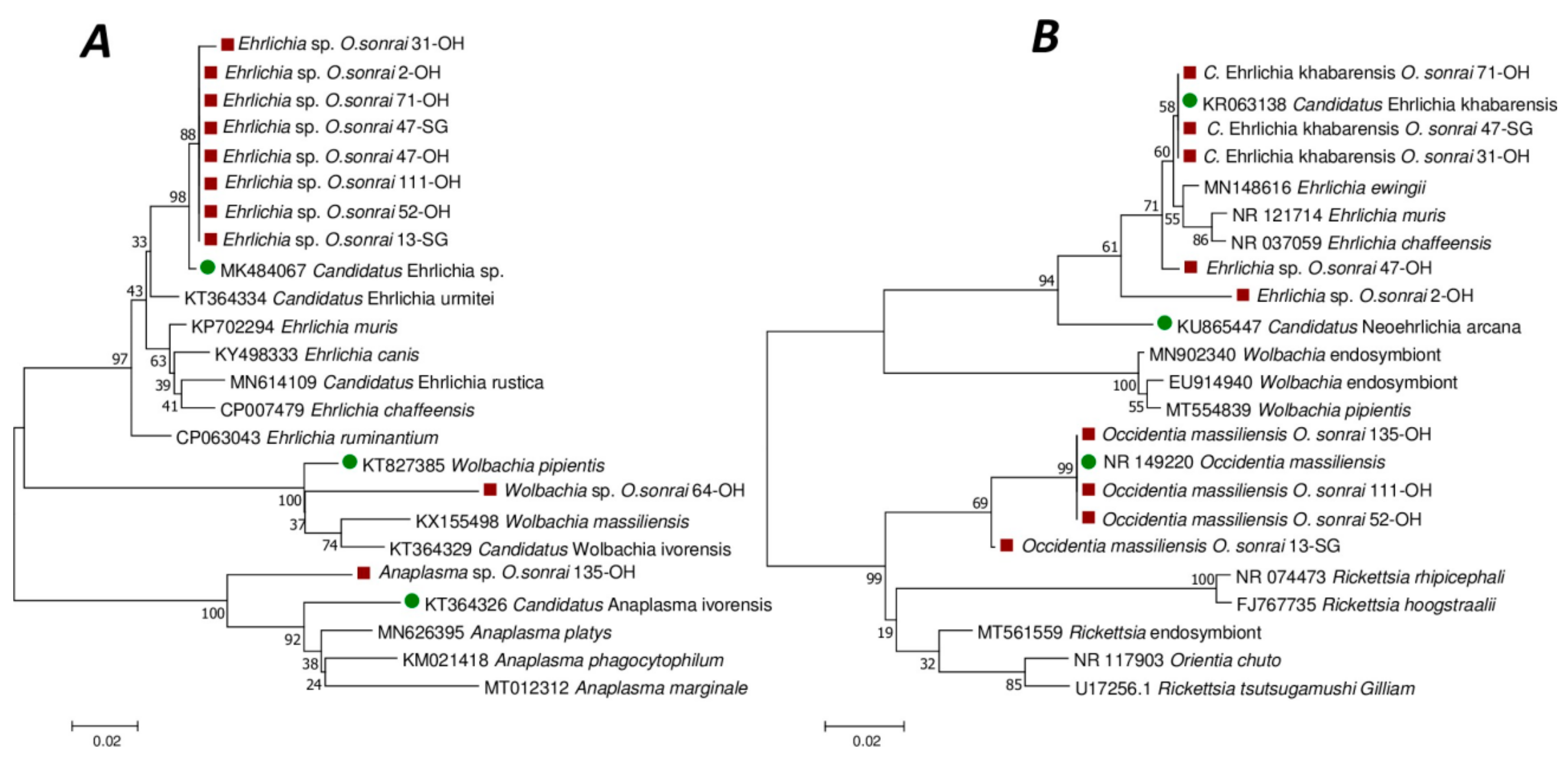 Pathogens 12 01078 g004