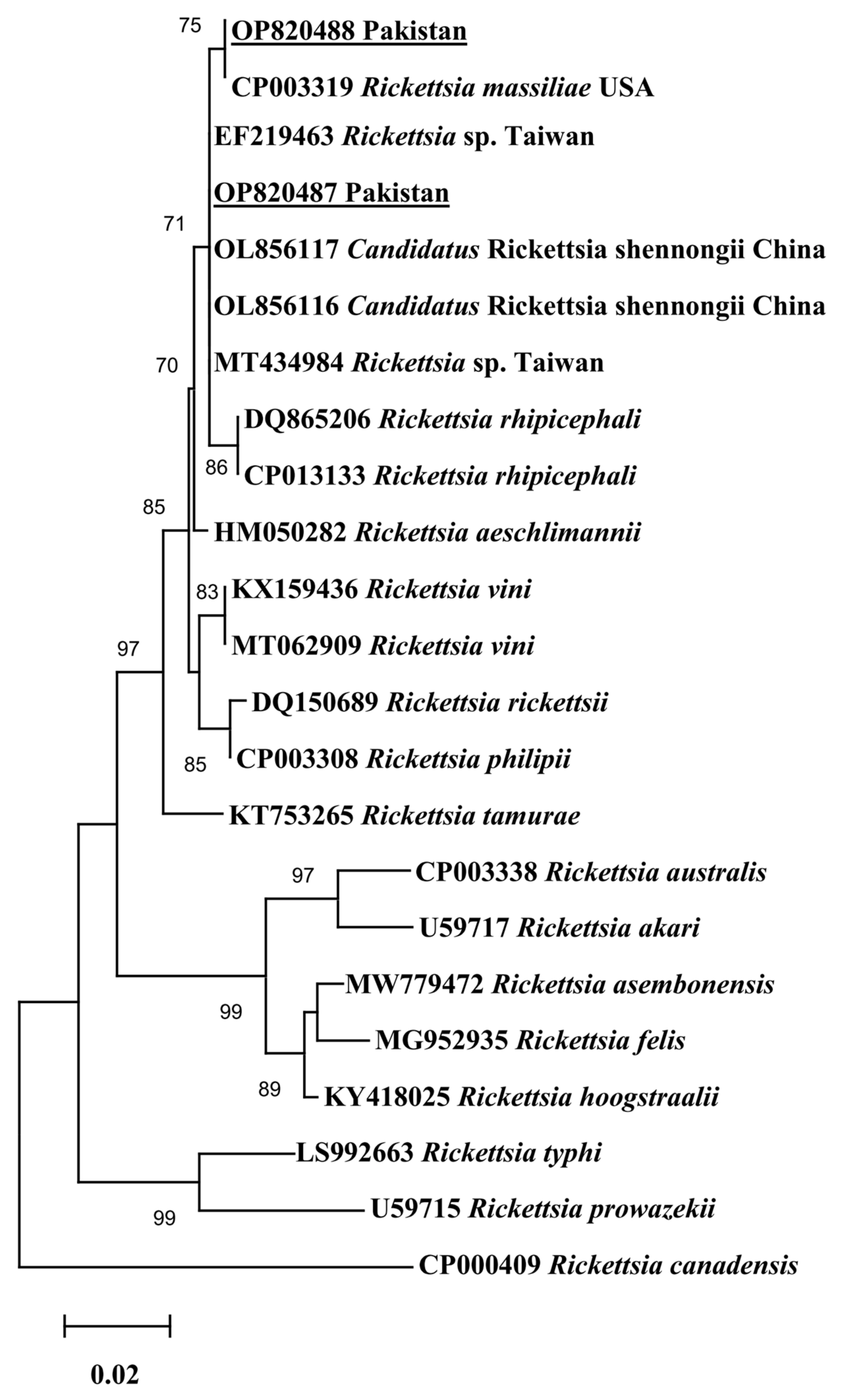 Pathogens 12 01080 g002