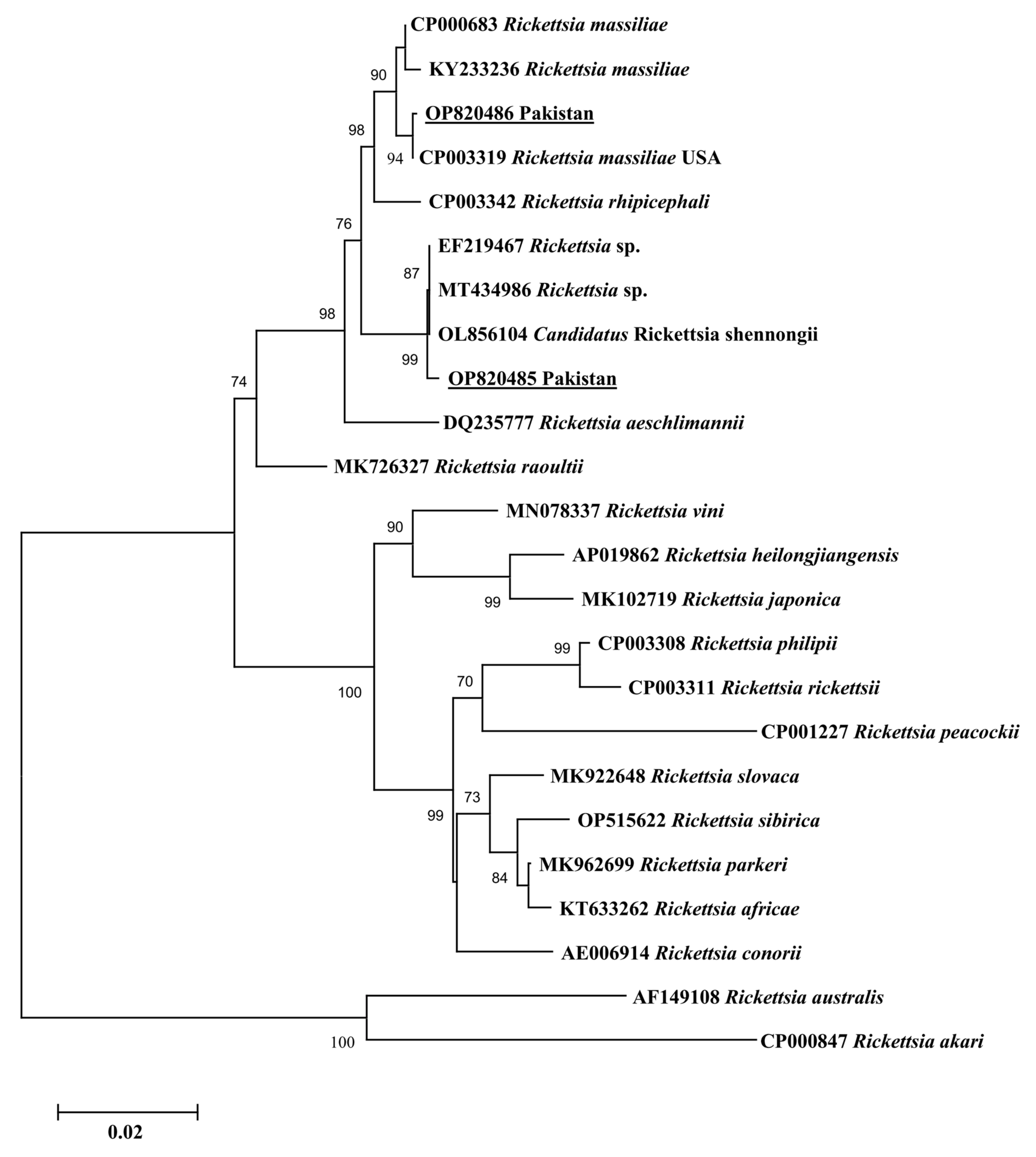 Pathogens 12 01080 g003