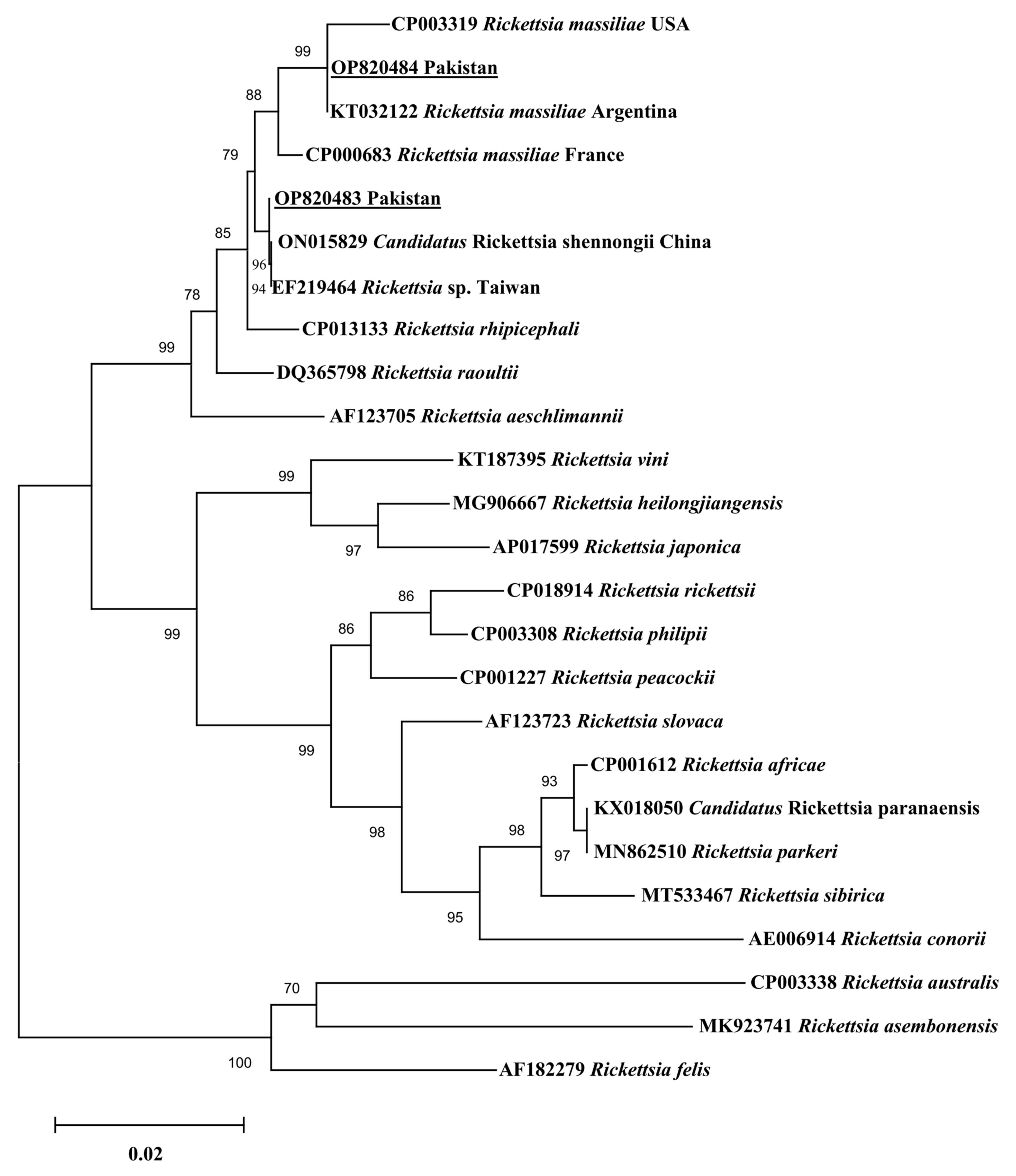 Pathogens 12 01080 g004