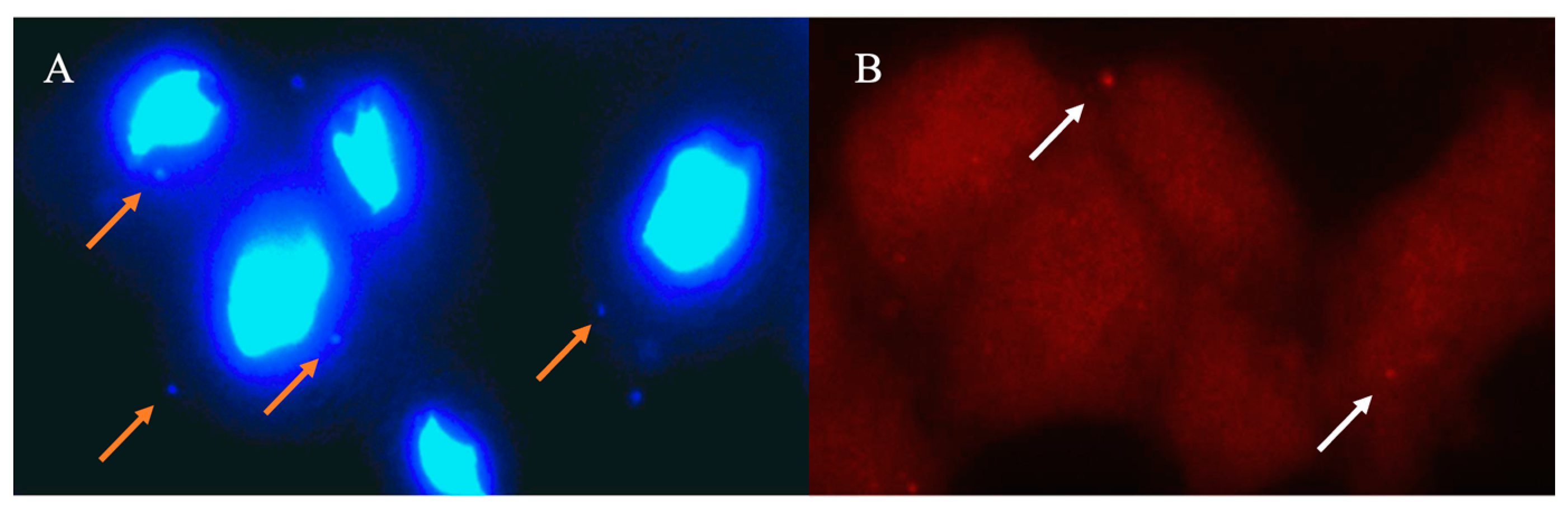 Pathogens 12 01083 g001 Pathogens 12 01083 g001