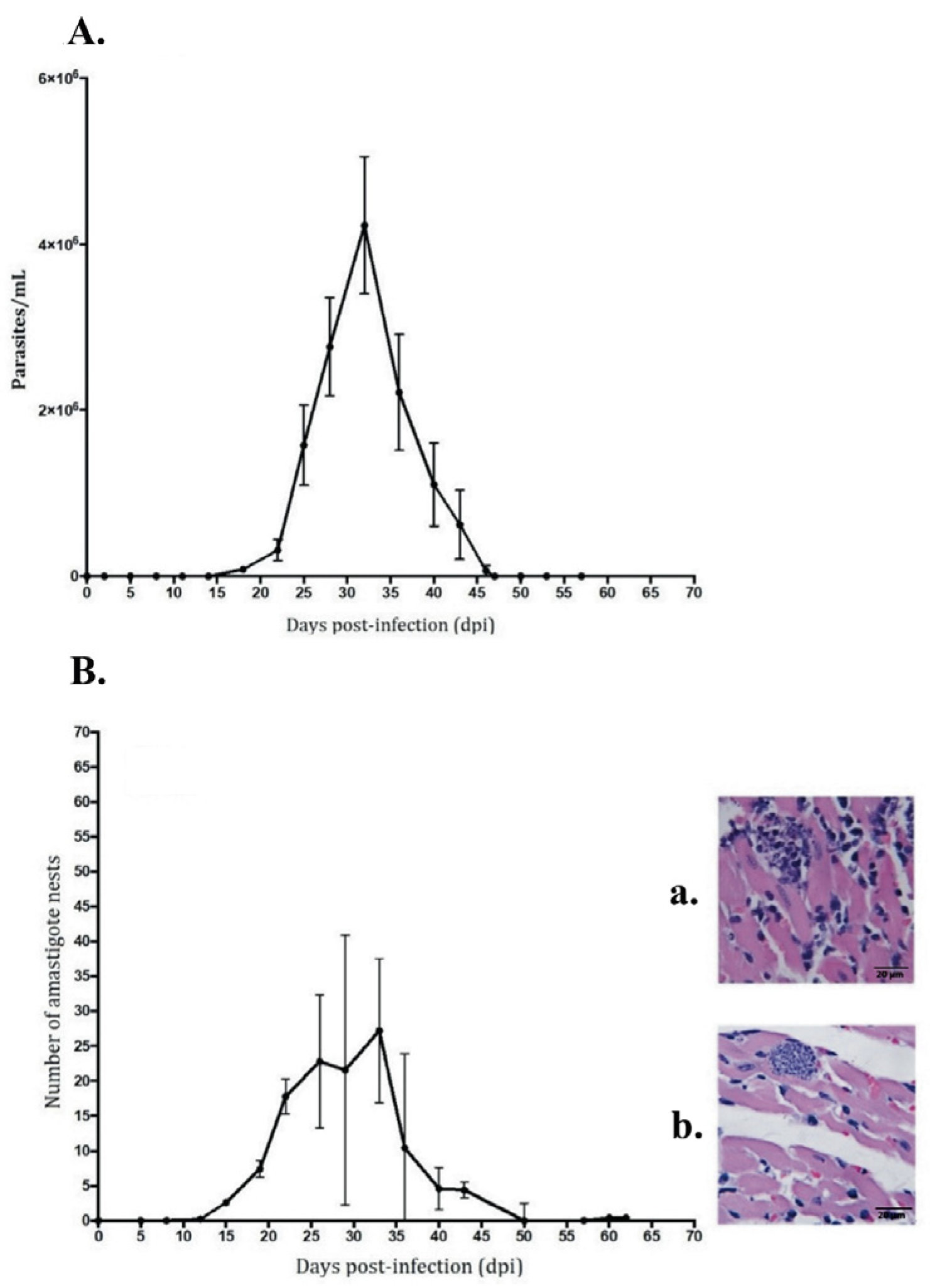 Pathogens 12 01084 g001