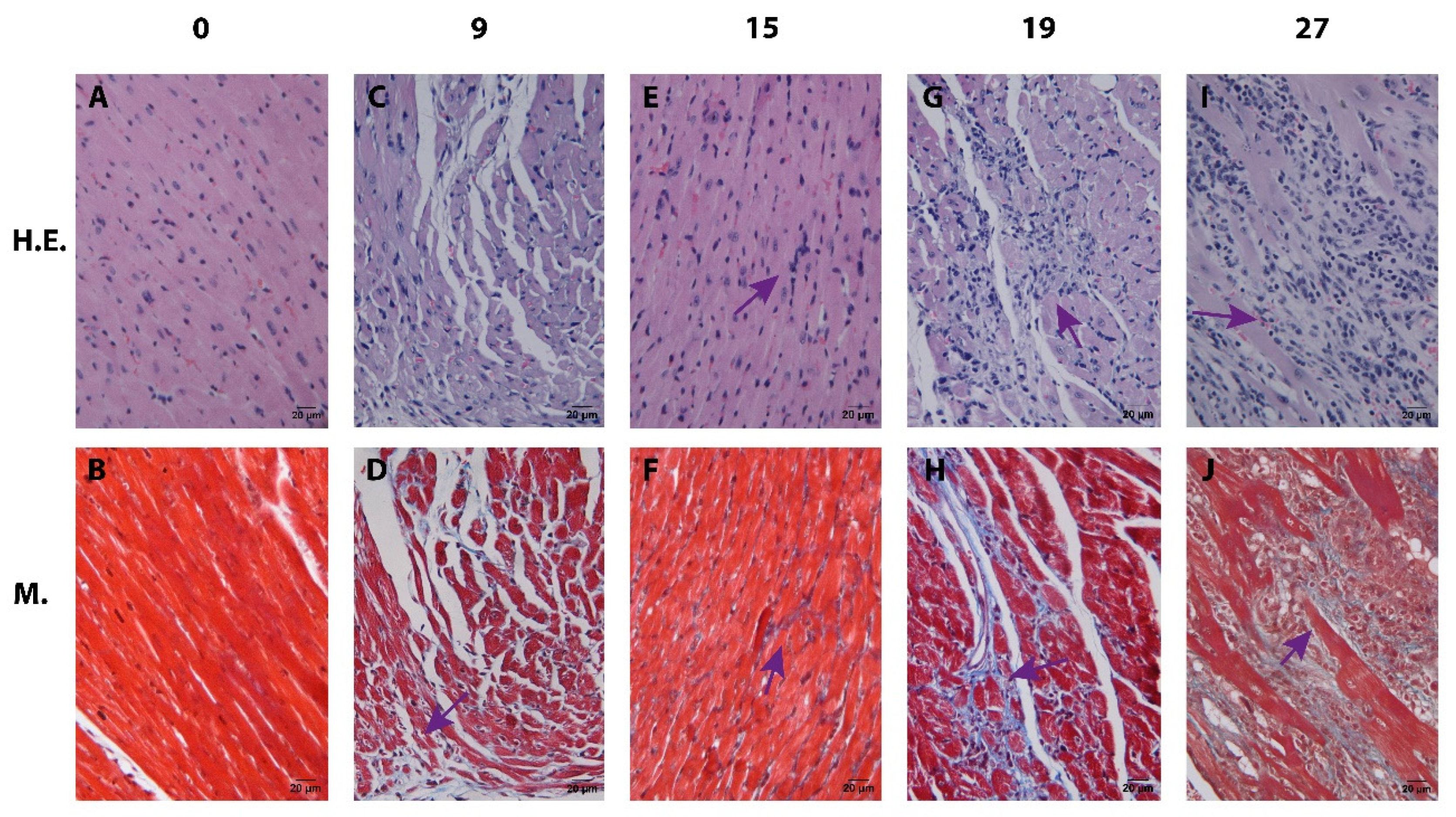 Pathogens 12 01084 g002
