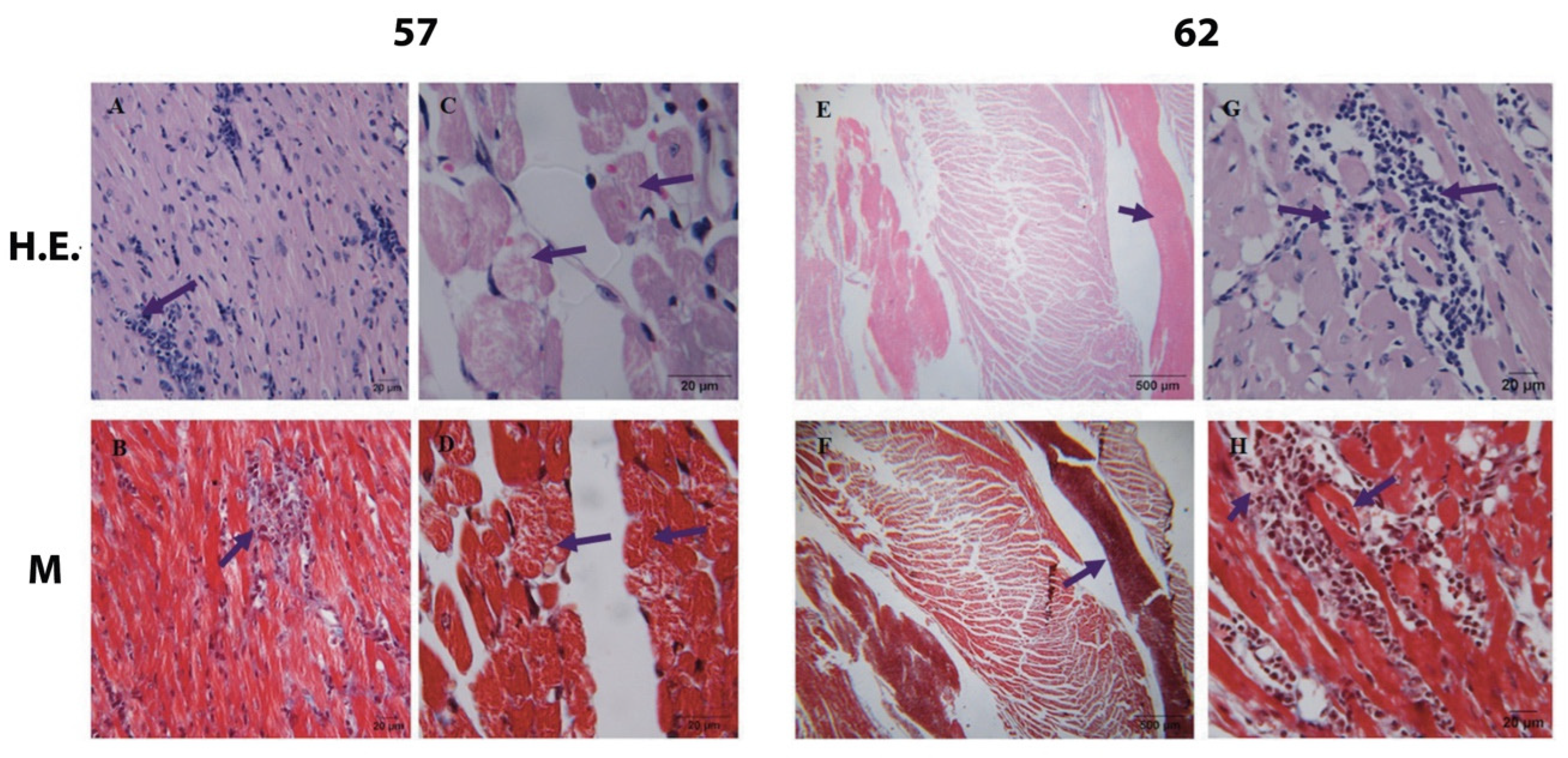 Pathogens 12 01084 g005