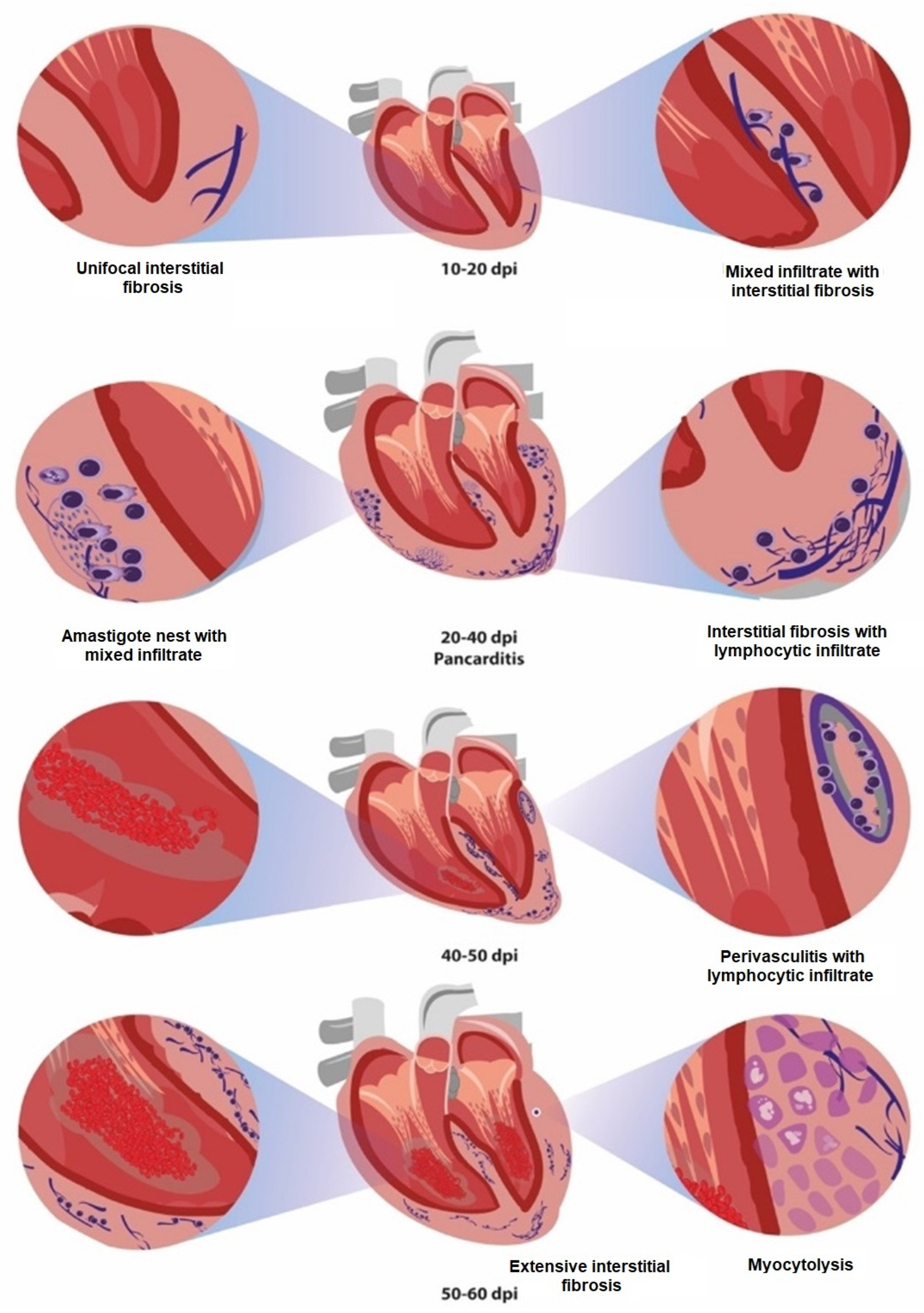 Pathogens 12 01084 g010