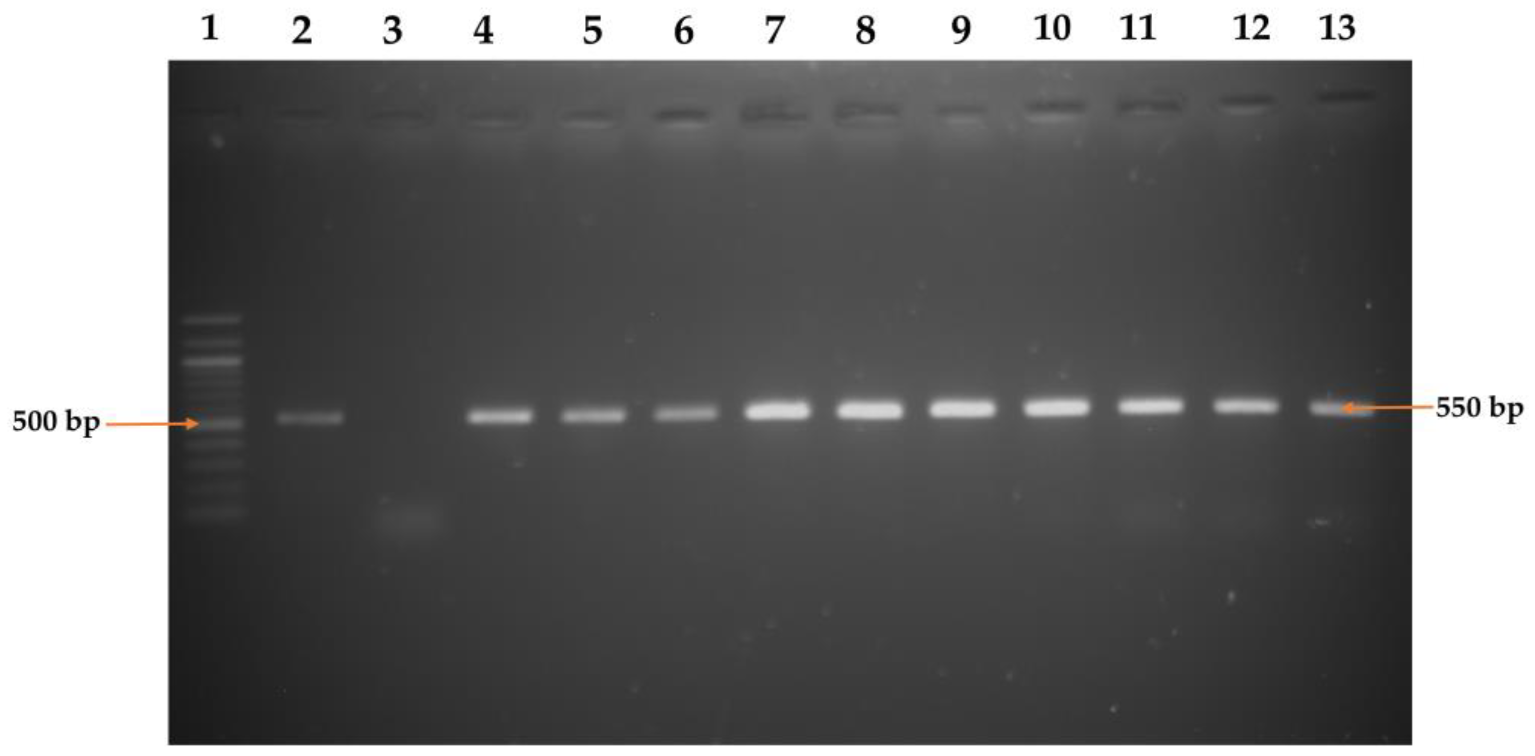 Pathogens 12 01101 g002