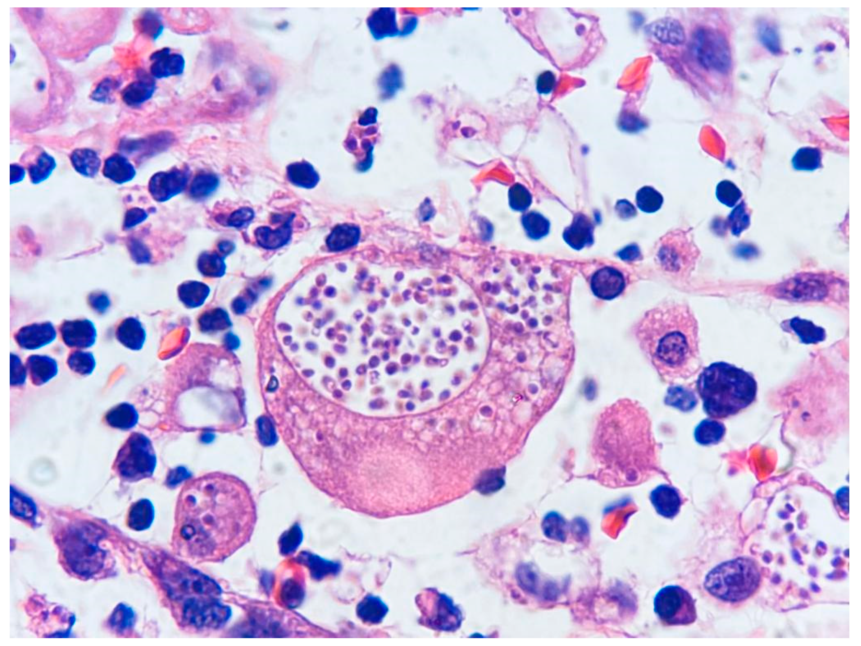 Pathogens 12 01112 g001