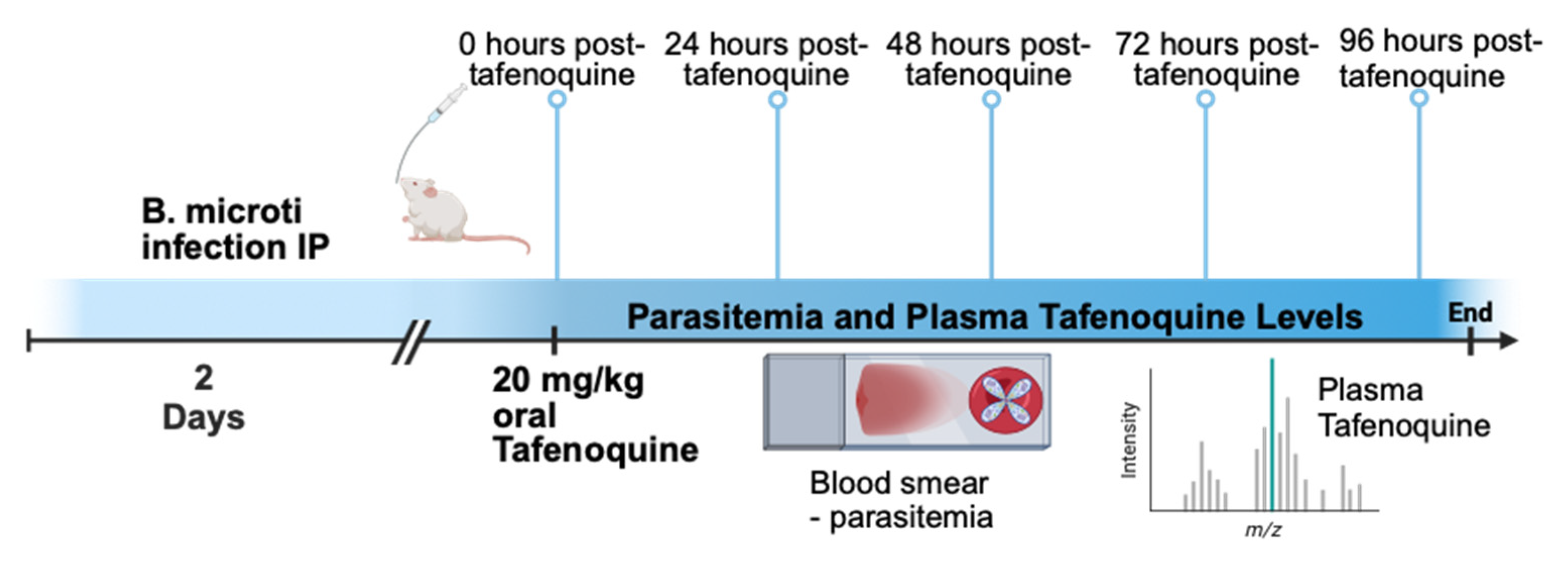 Pathogens 12 01113 g001 Pathogens 12 01113 g001