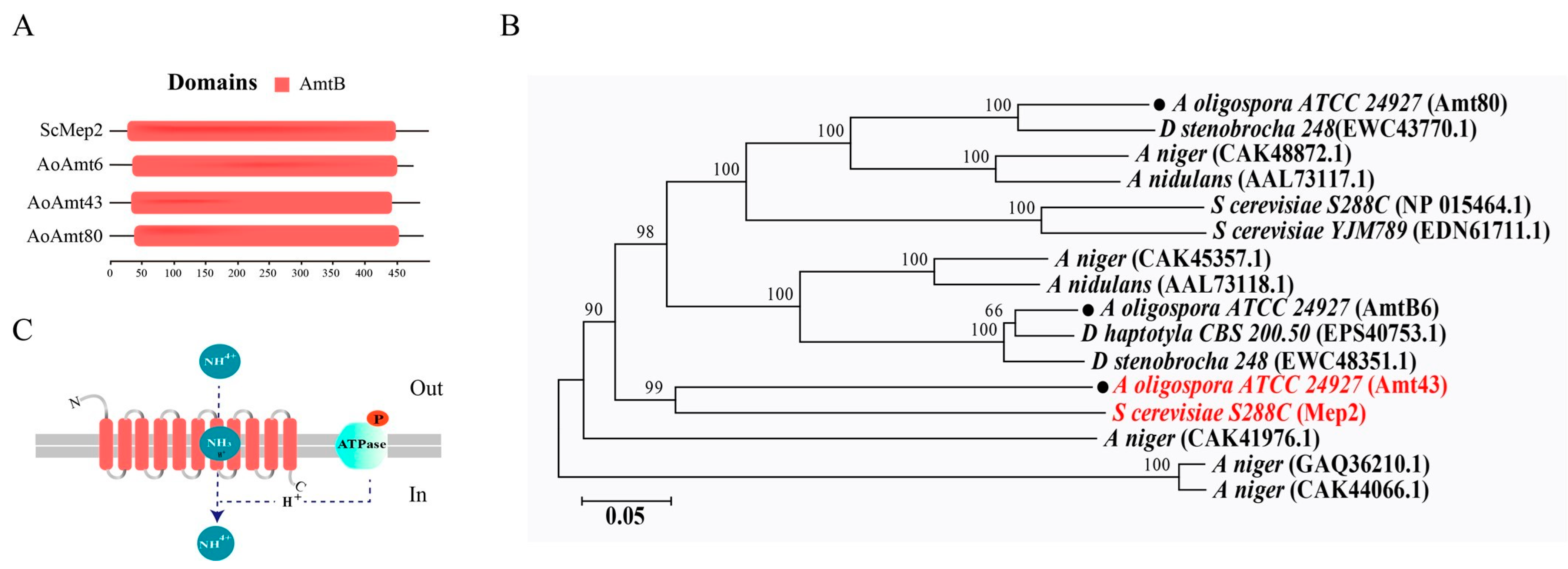 Pathogens 12 01114 g002 Pathogens 12 01114 g002