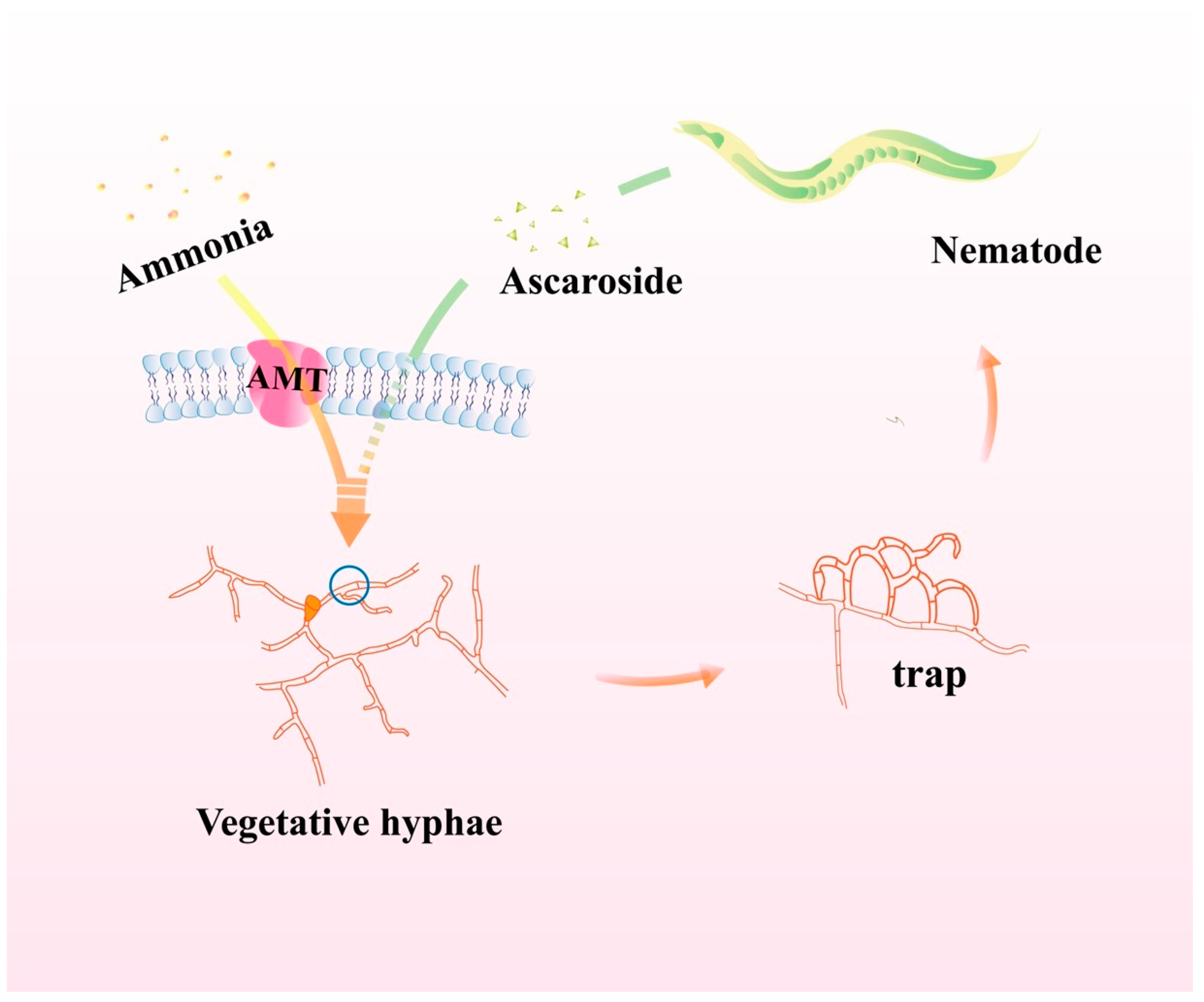 Pathogens 12 01114 g005 Pathogens 12 01114 g005