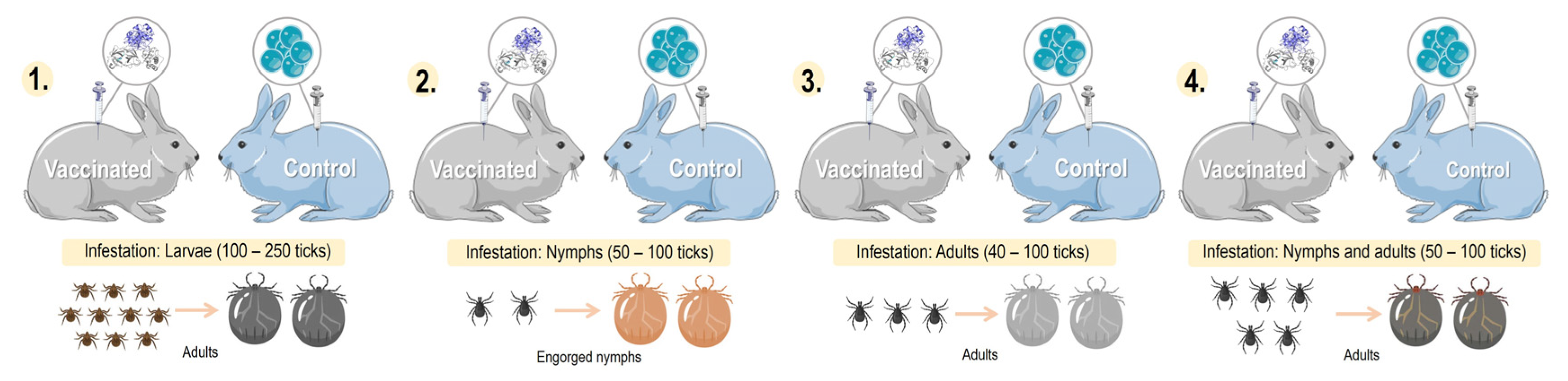 Pathogens 12 01117 g005