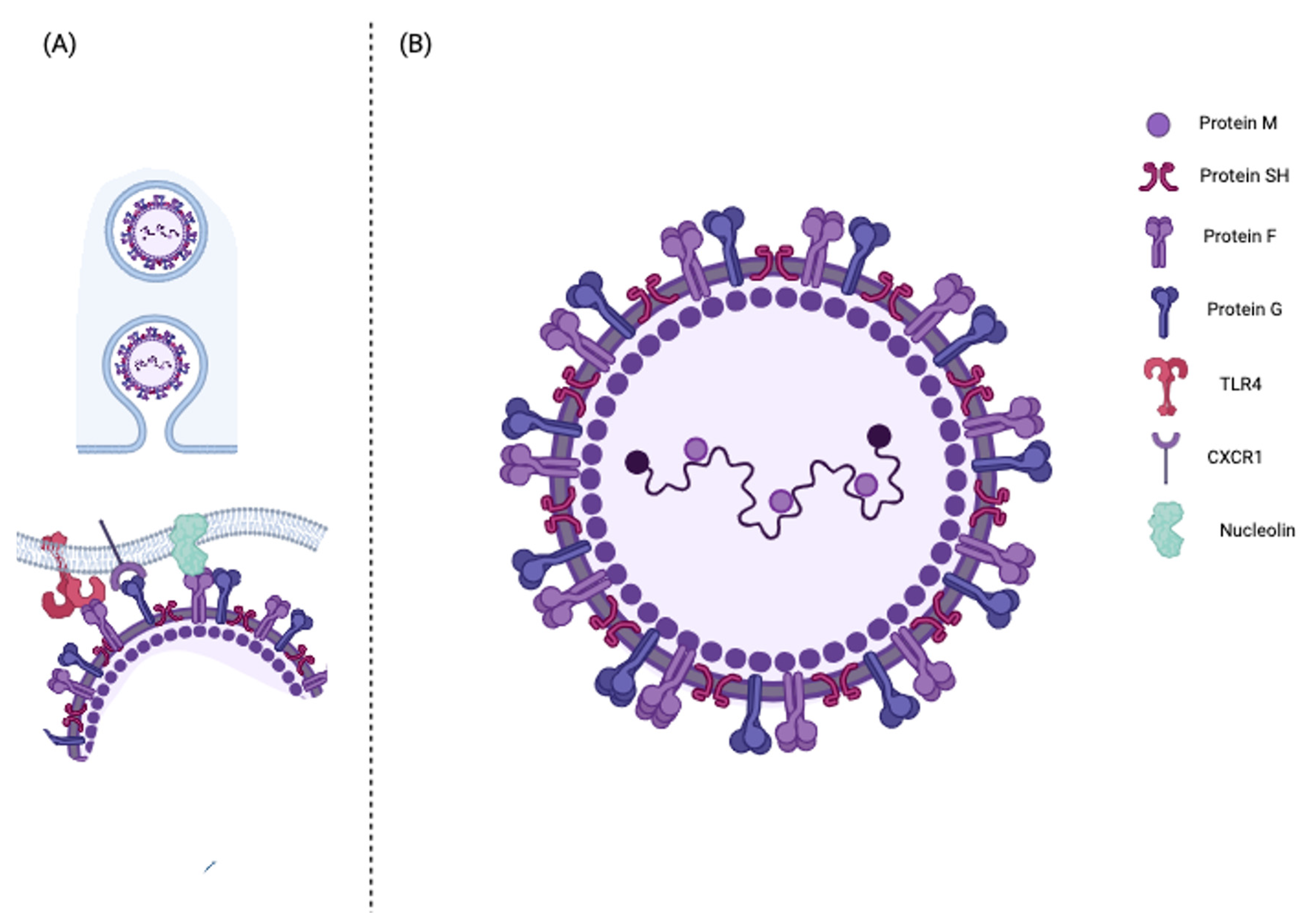 Pathogens 12 01118 g001