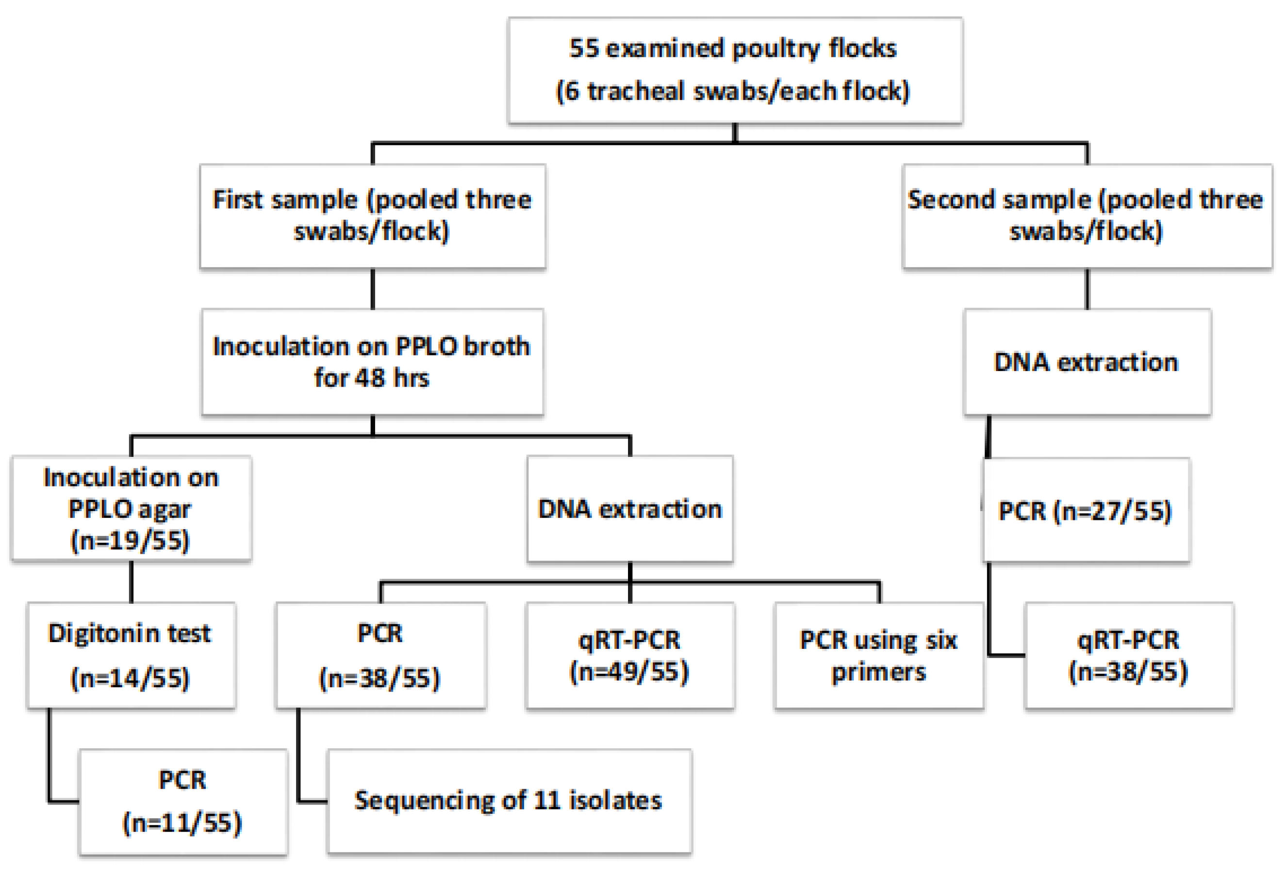 Pathogens 12 01131 g001 Pathogens 12 01131 g001