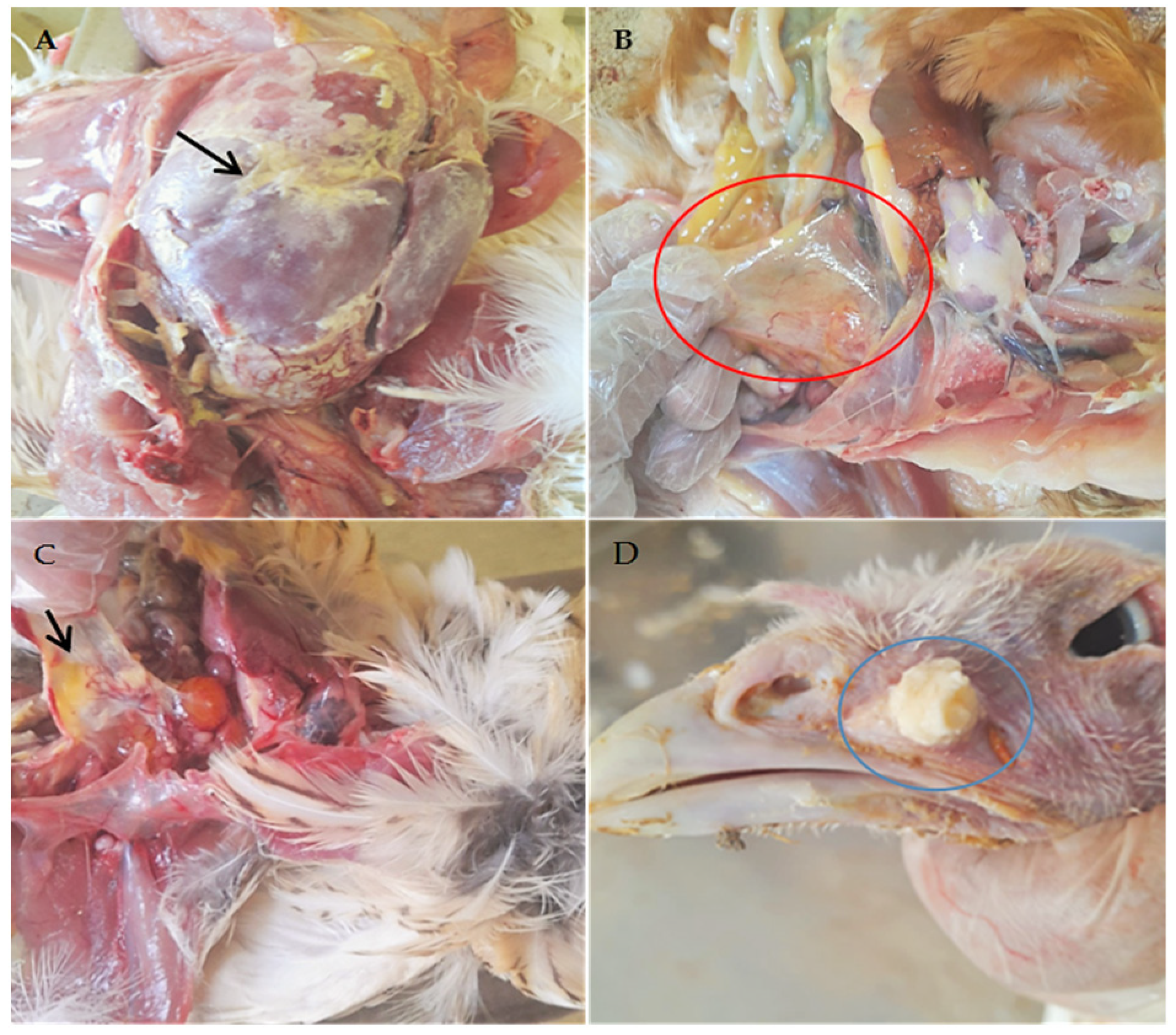 Pathogens 12 01131 g002 Pathogens 12 01131 g002