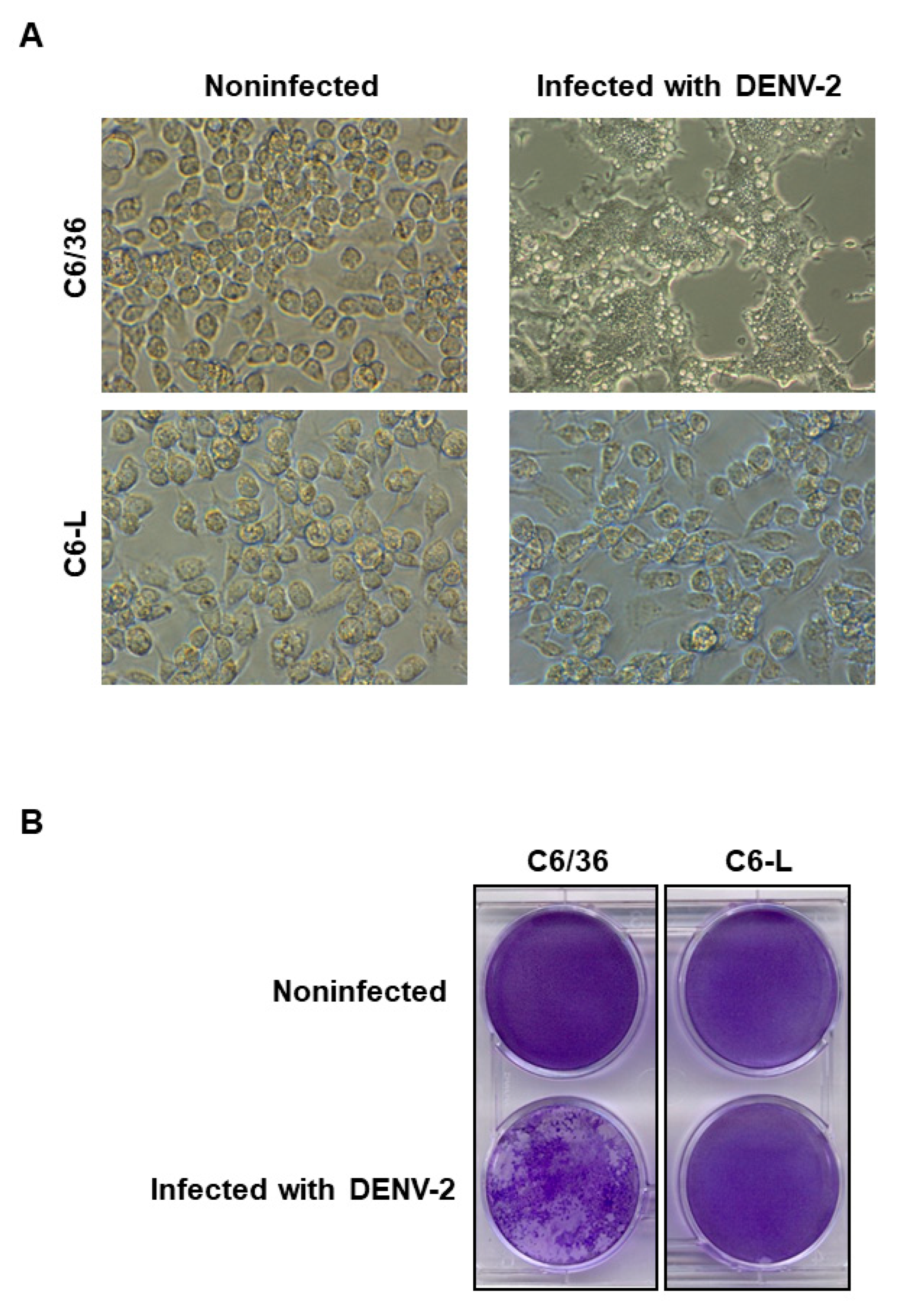 Pathogens 12 01135 g001
