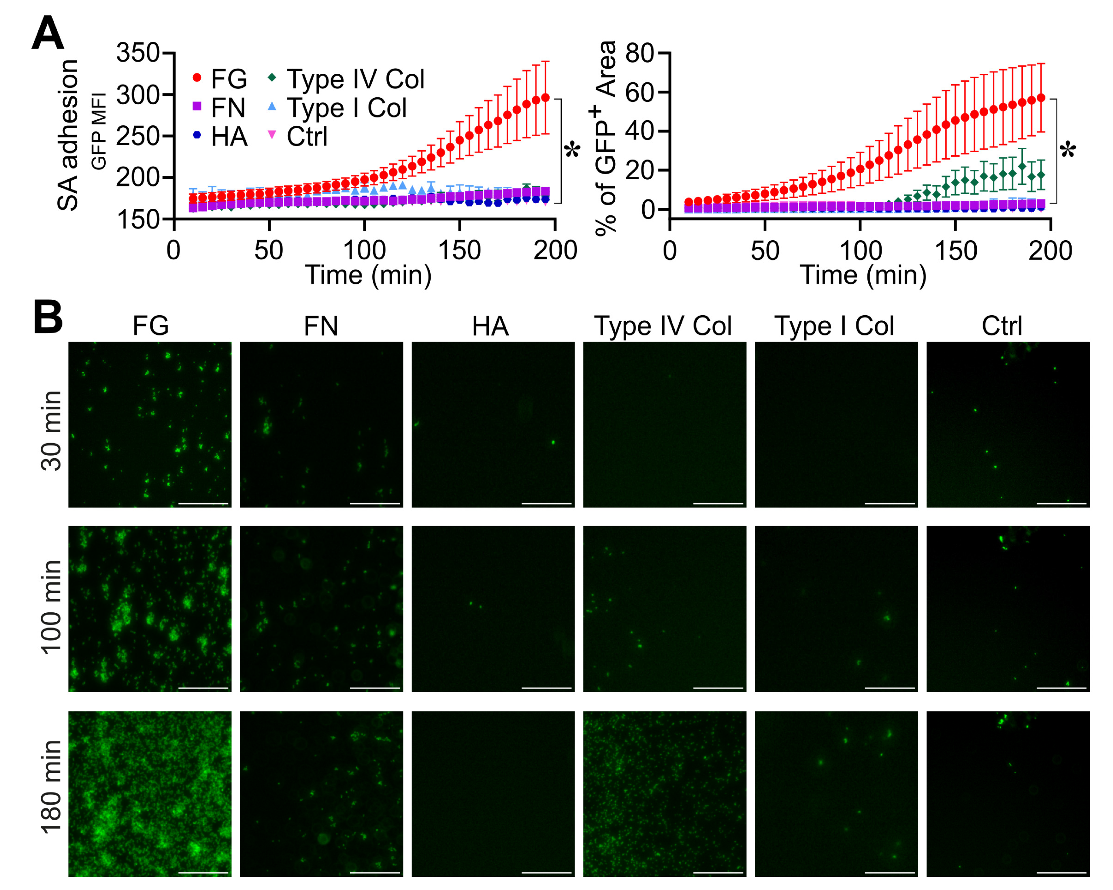 Pathogens 12 01141 g001 Pathogens 12 01141 g001
