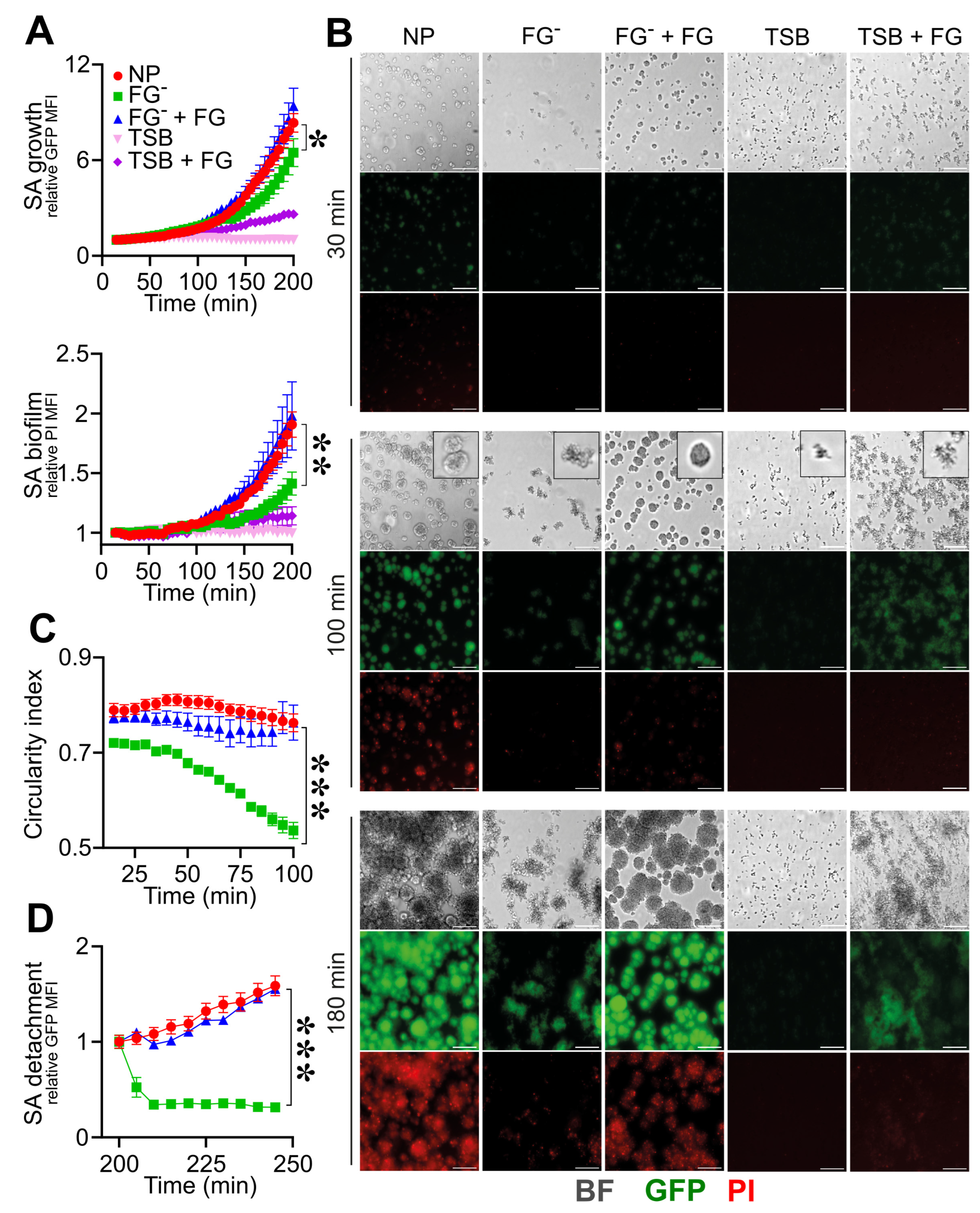 Pathogens 12 01141 g002 Pathogens 12 01141 g002
