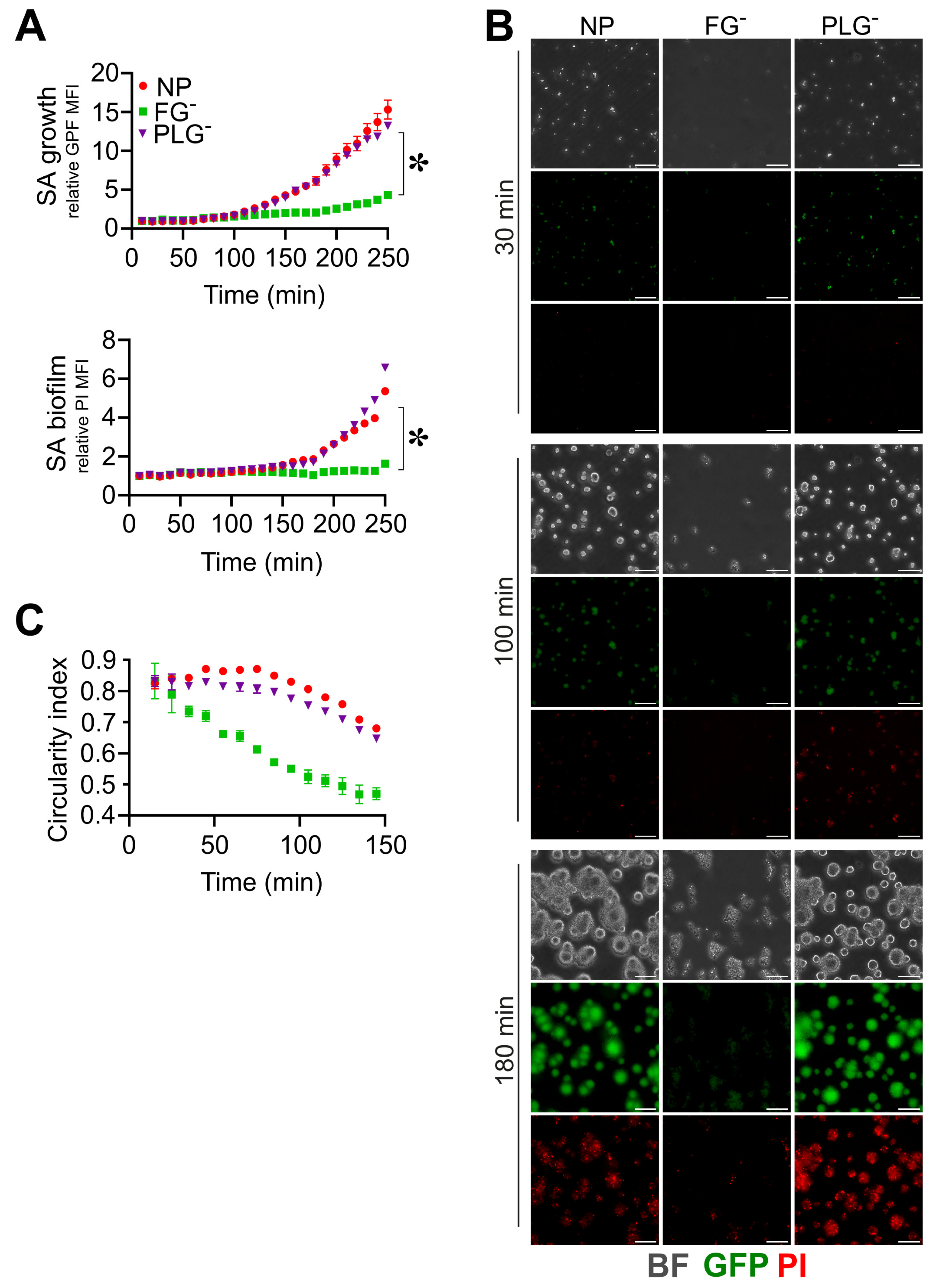 Pathogens 12 01141 g003 Pathogens 12 01141 g003