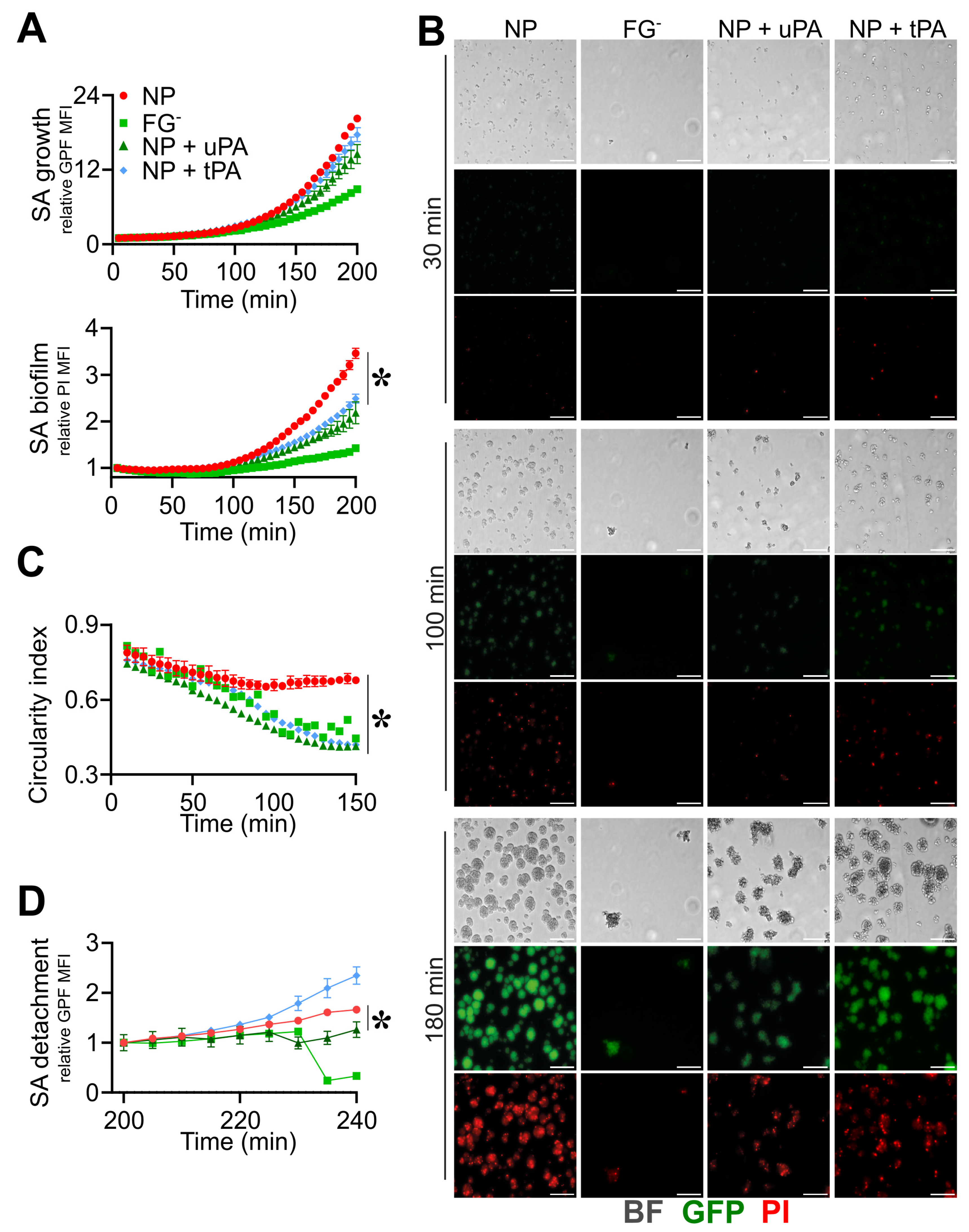 Pathogens 12 01141 g005 Pathogens 12 01141 g005
